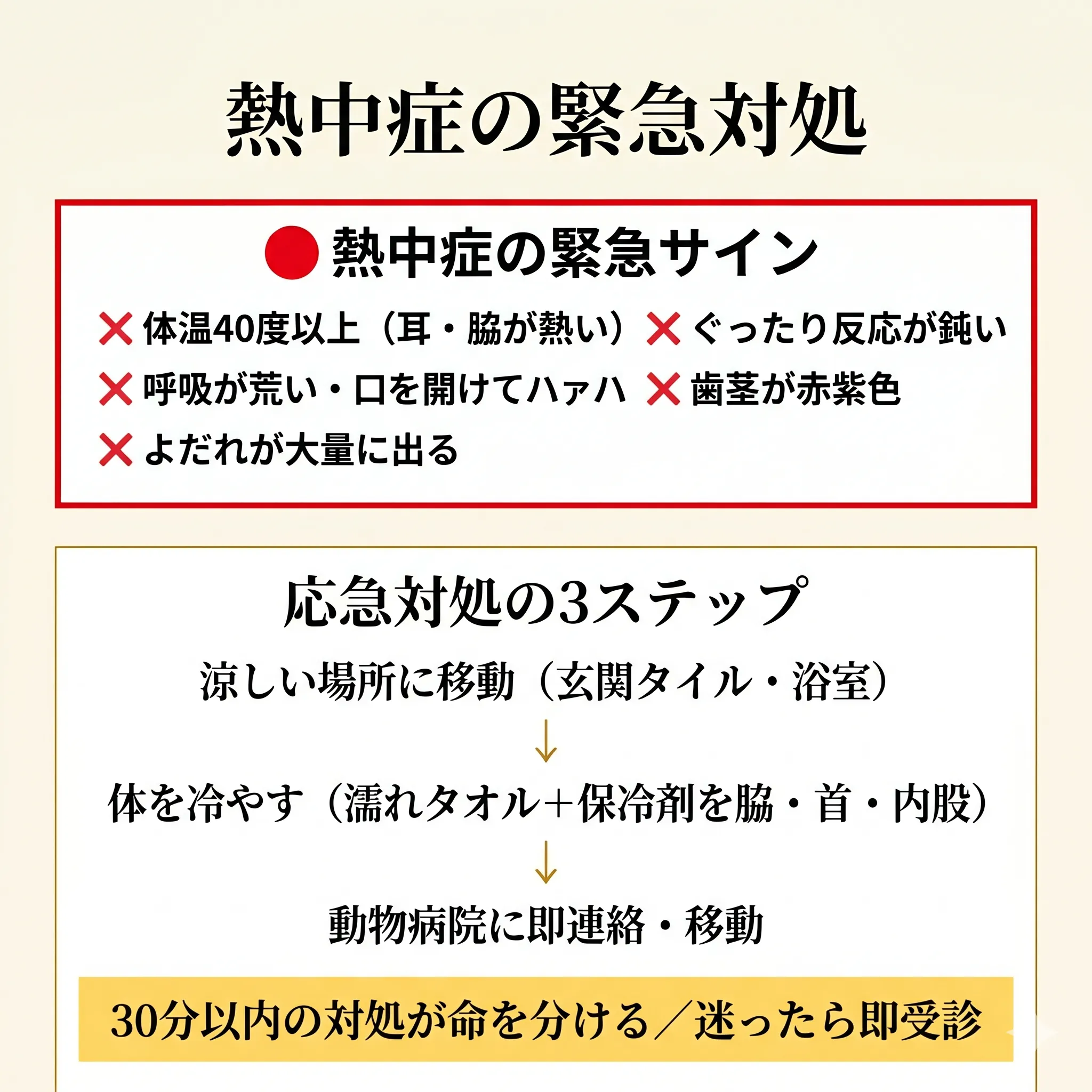 熱中症の緊急サイン6つと応急対処フロー