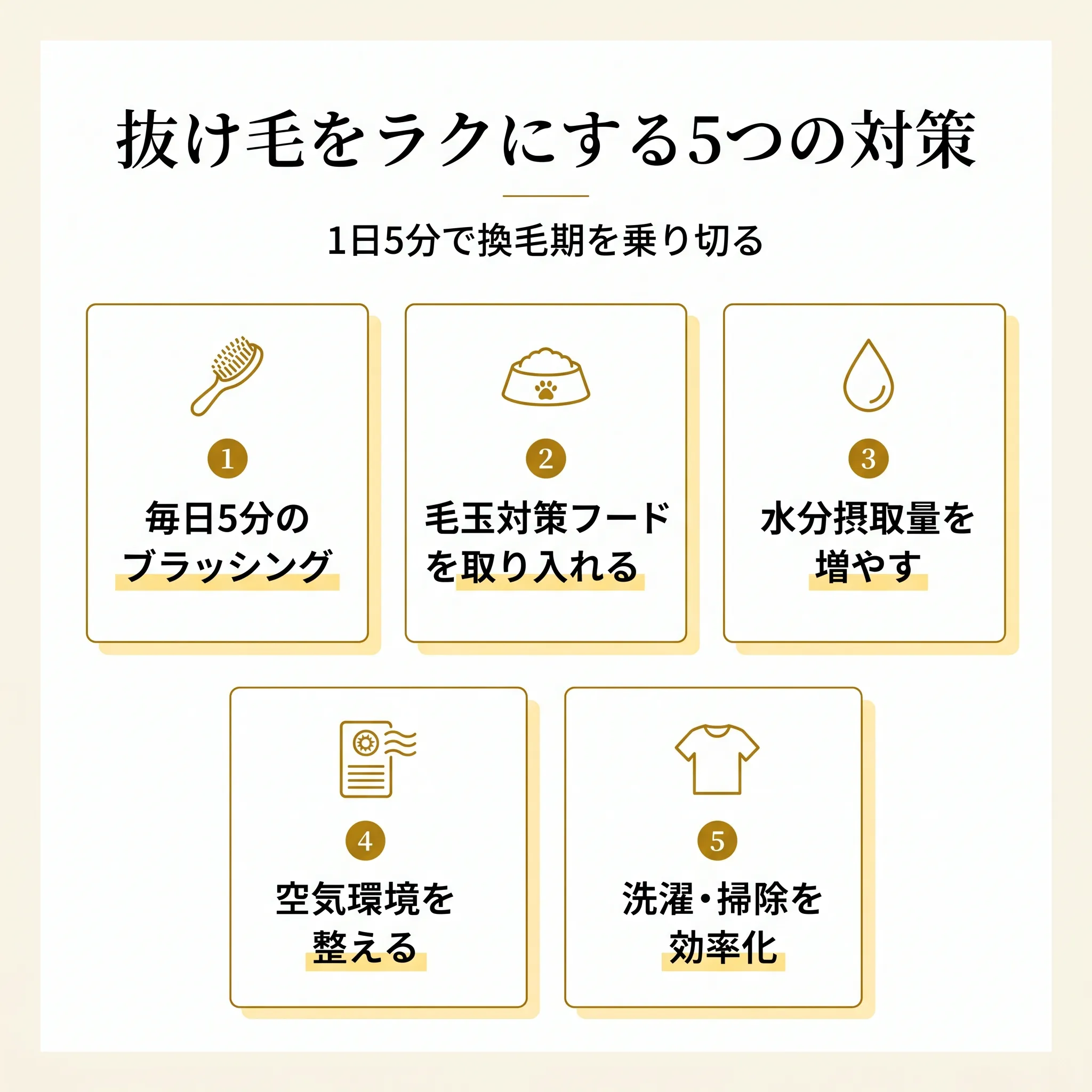 抜け毛対策5つを示すインフォグラフィック(ブラッシング・食事・水分・空気・洗濯)