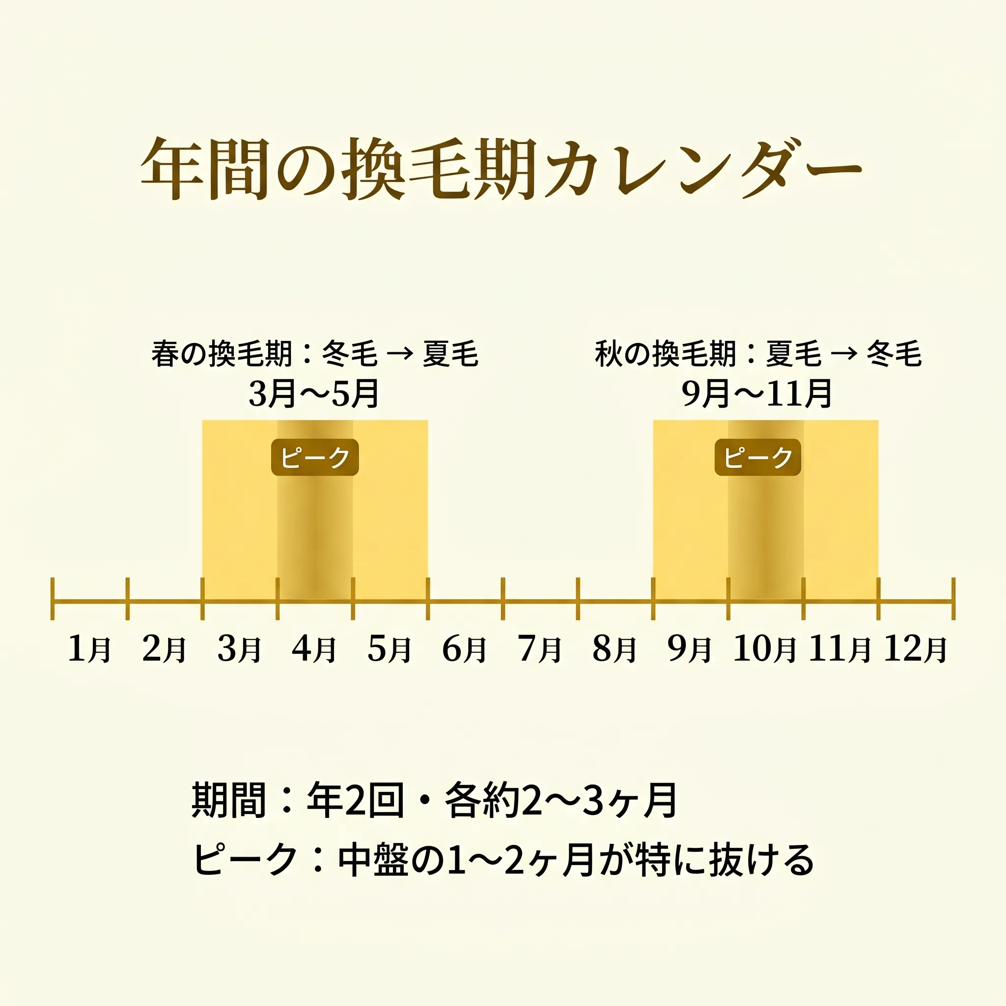 年間を通した猫の換毛期カレンダー(春と秋のピーク表示)