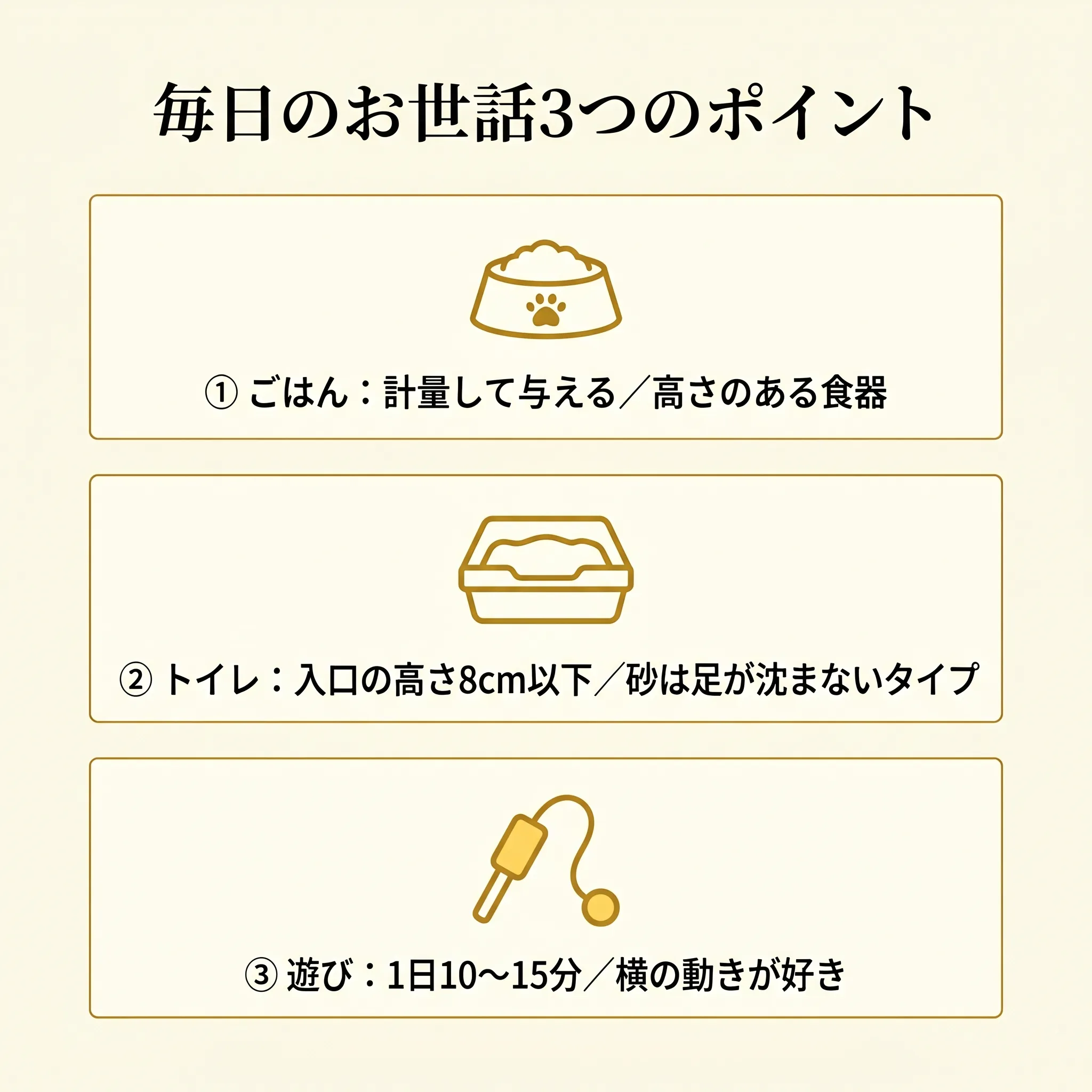 毎日のお世話3要素（ごはん・トイレ・遊び）を示すインフォグラフィック