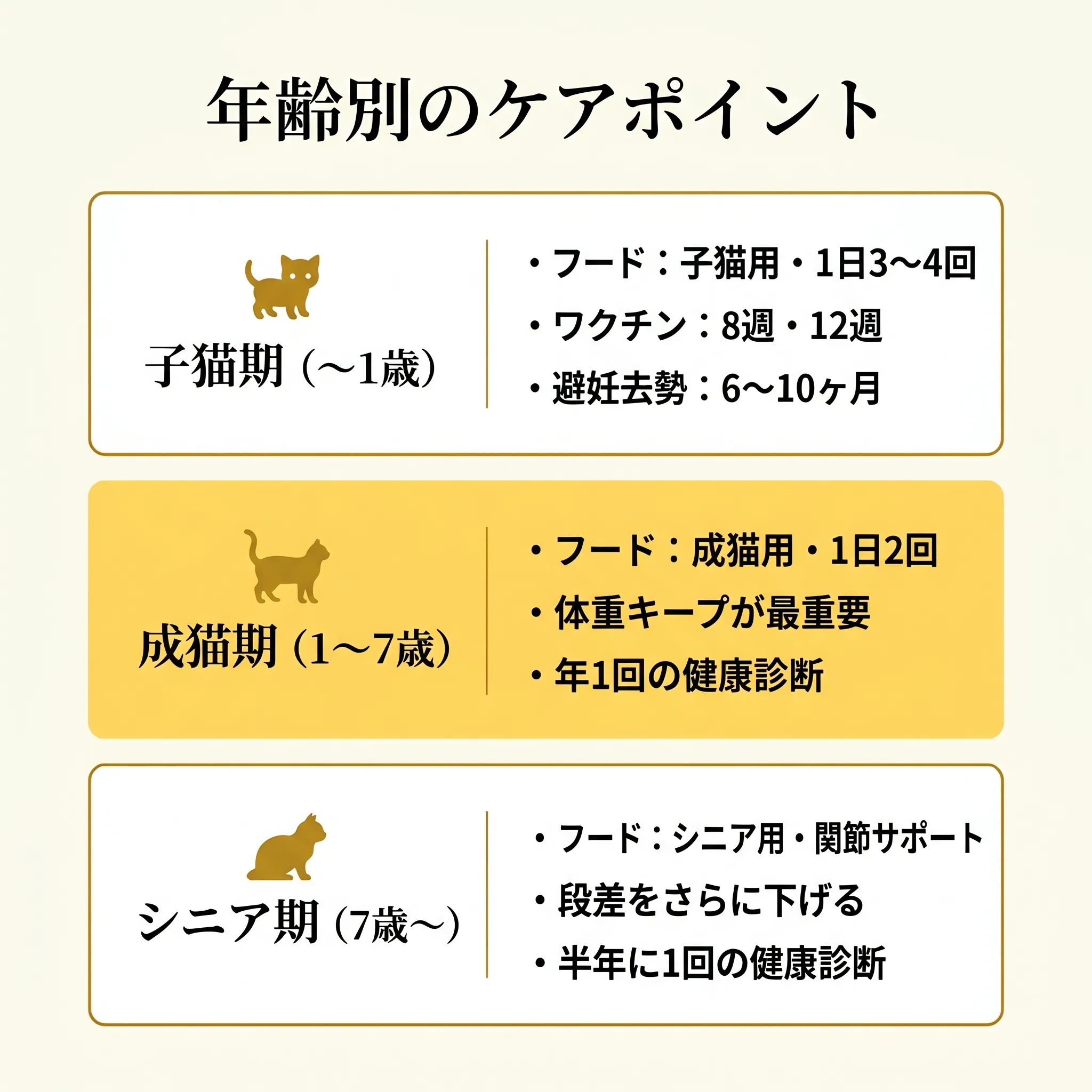 年齢別ケアの変化を示す3ステージ比較インフォグラフィック