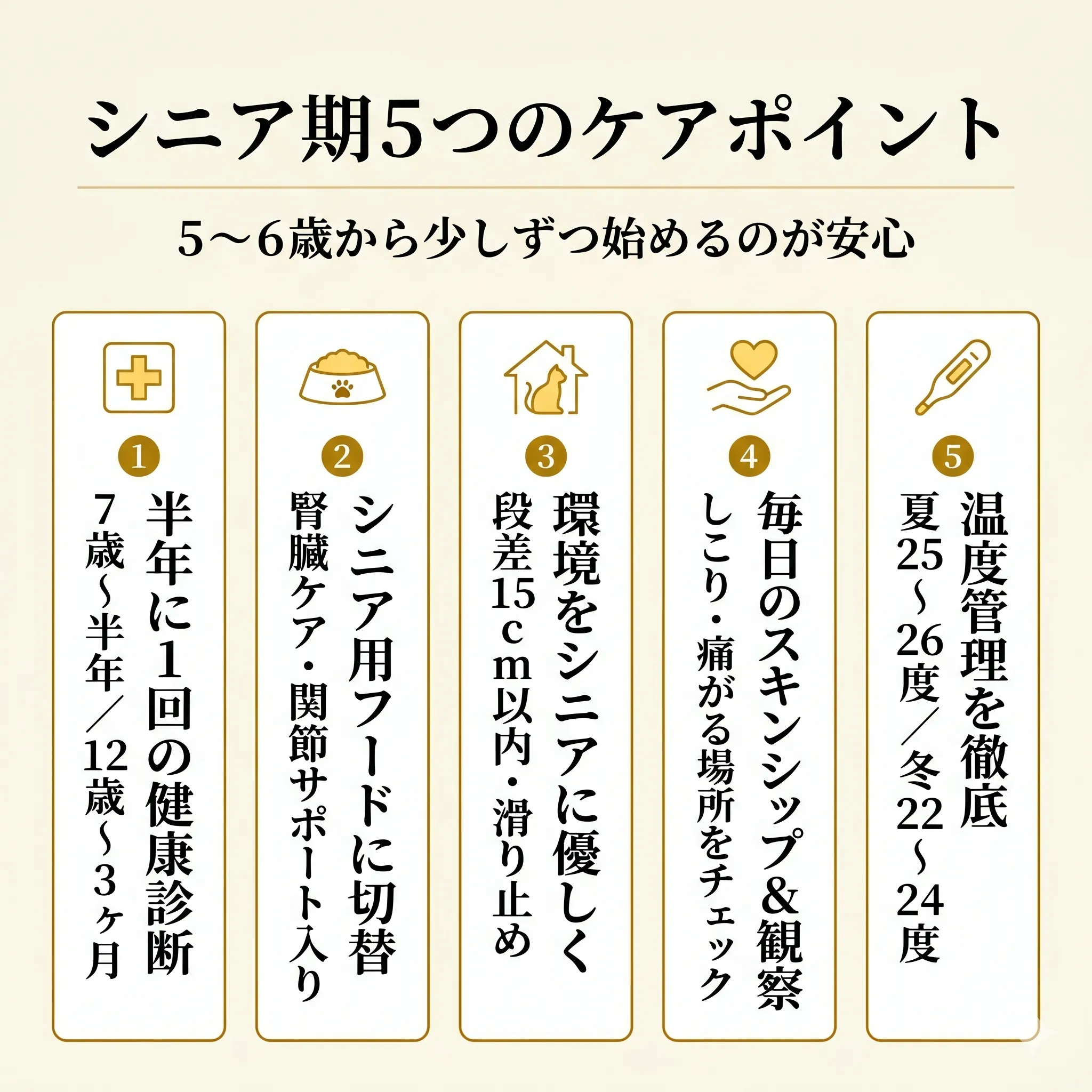 ミヌエットのシニア期5つのケアポイントを示すインフォグラフィック
