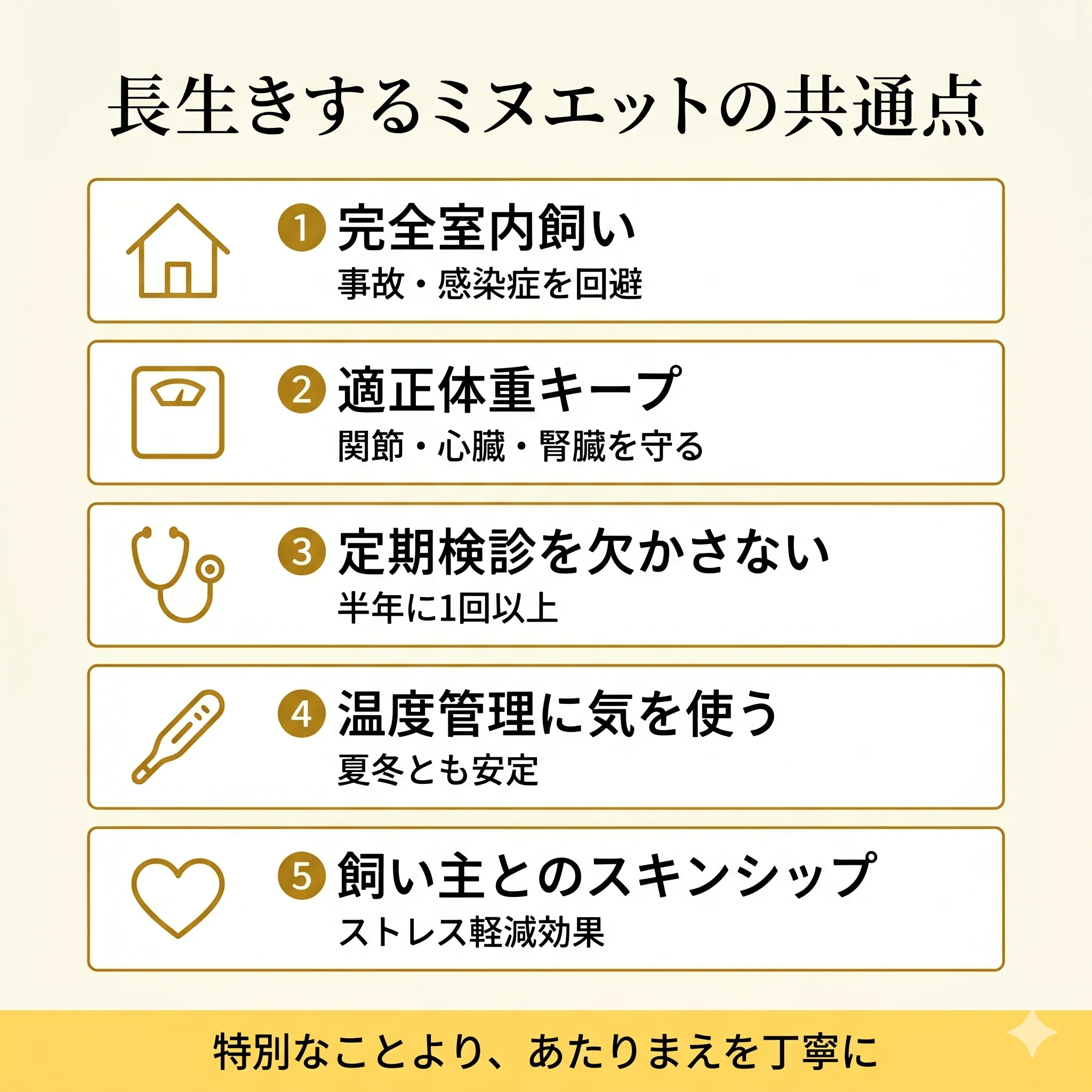 長生きミヌエットの共通点5つを示すインフォグラフィック