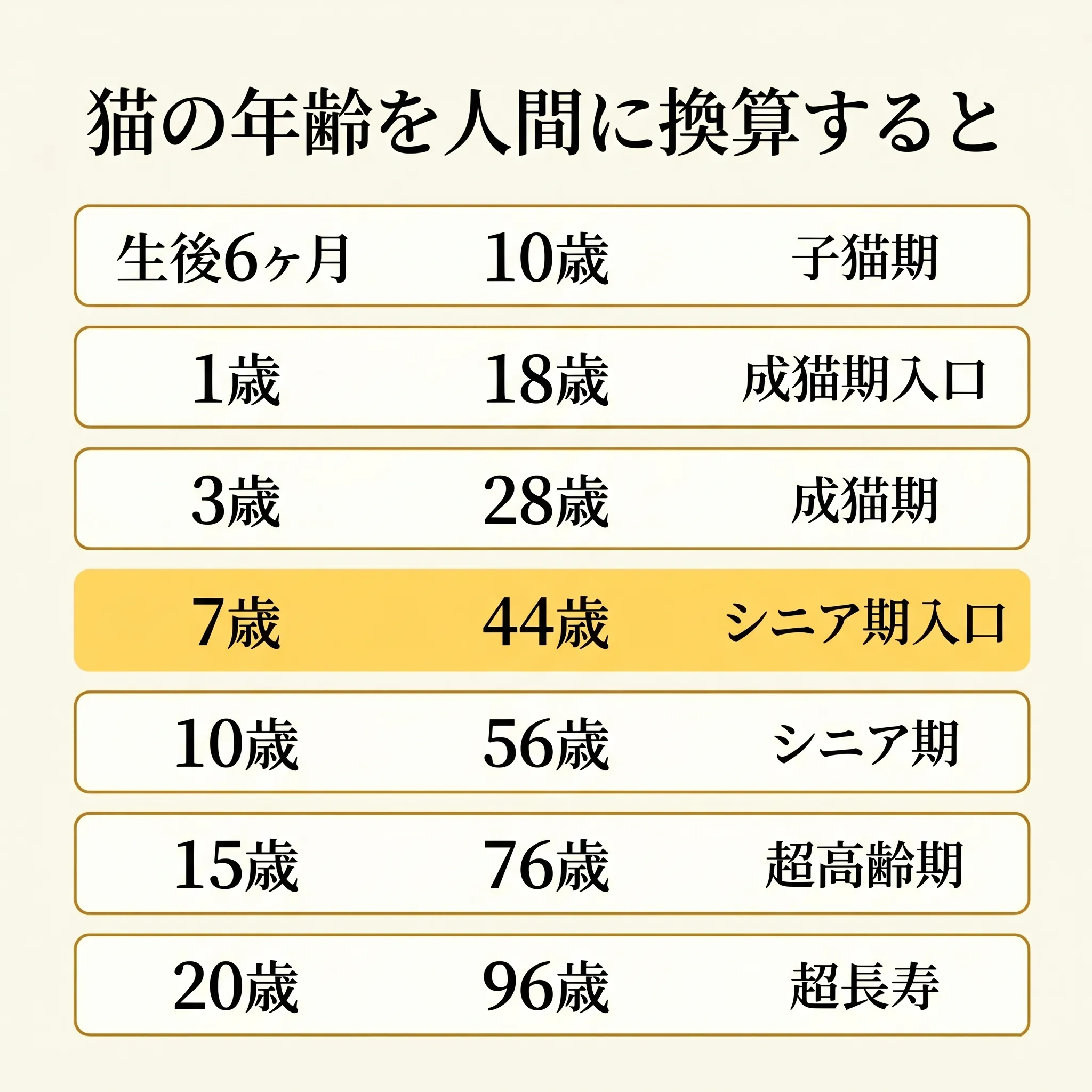 猫の年齢と人間年齢の換算表インフォグラフィック(子猫期〜超高齢期)