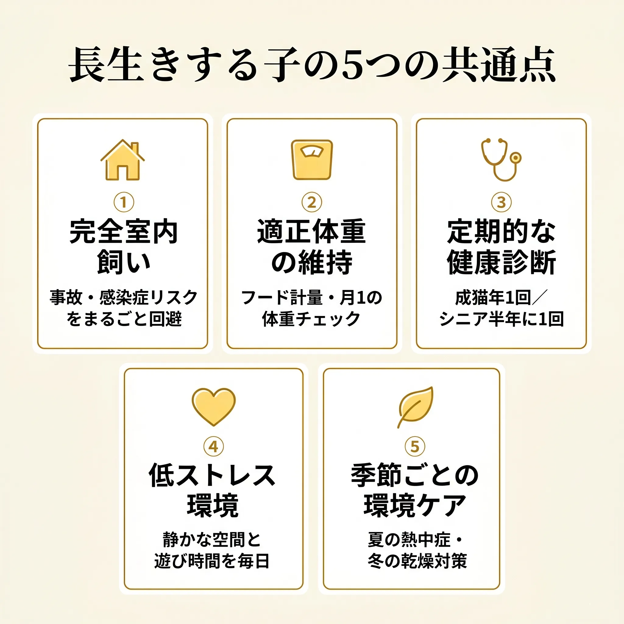 長生きする猫の5つの共通点を示すインフォグラフィック