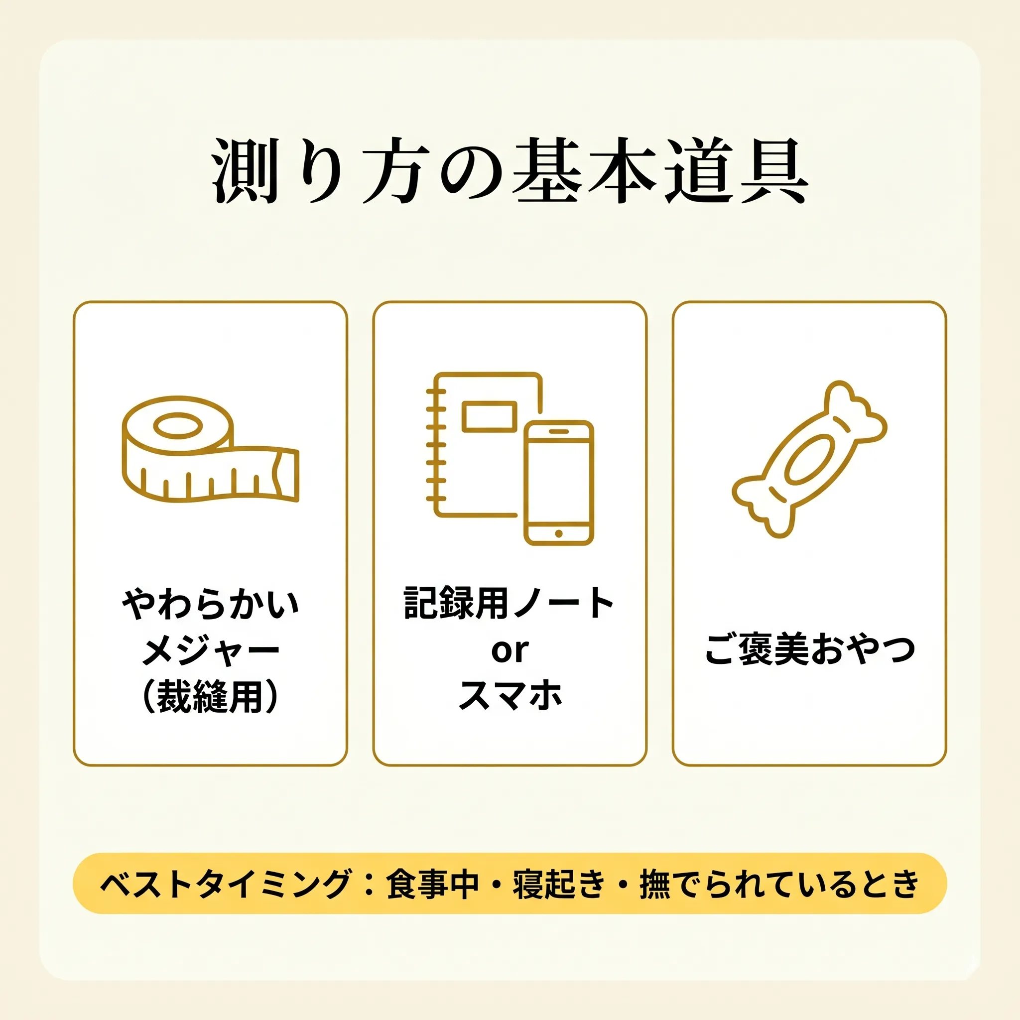 猫のサイズ測定に必要な3つの道具（やわらかメジャー・ノート・おやつ）のインフォグラフィック
