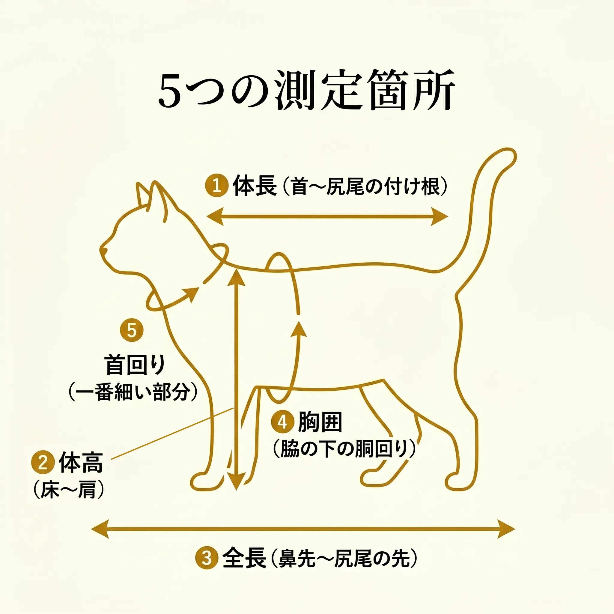 猫の体のサイズ測定箇所5つ（体長・体高・全長・胸囲・首回り）を矢印で示した図解
