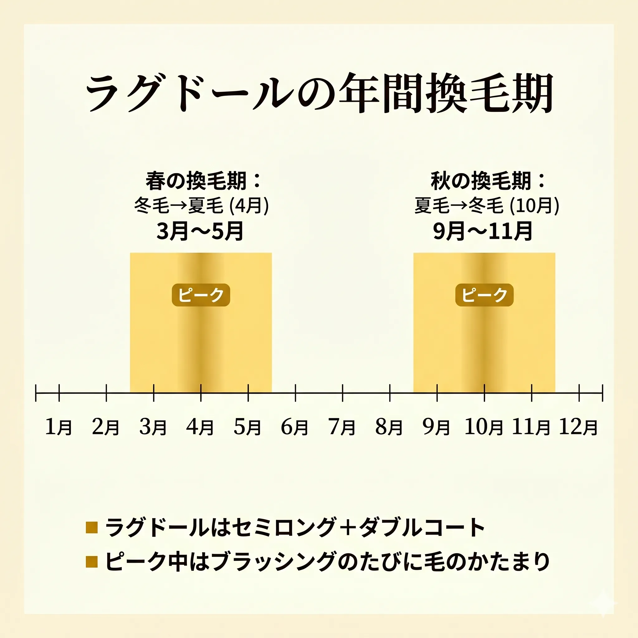 ラグドールの年間換毛期カレンダー(春・秋のピーク表示)
