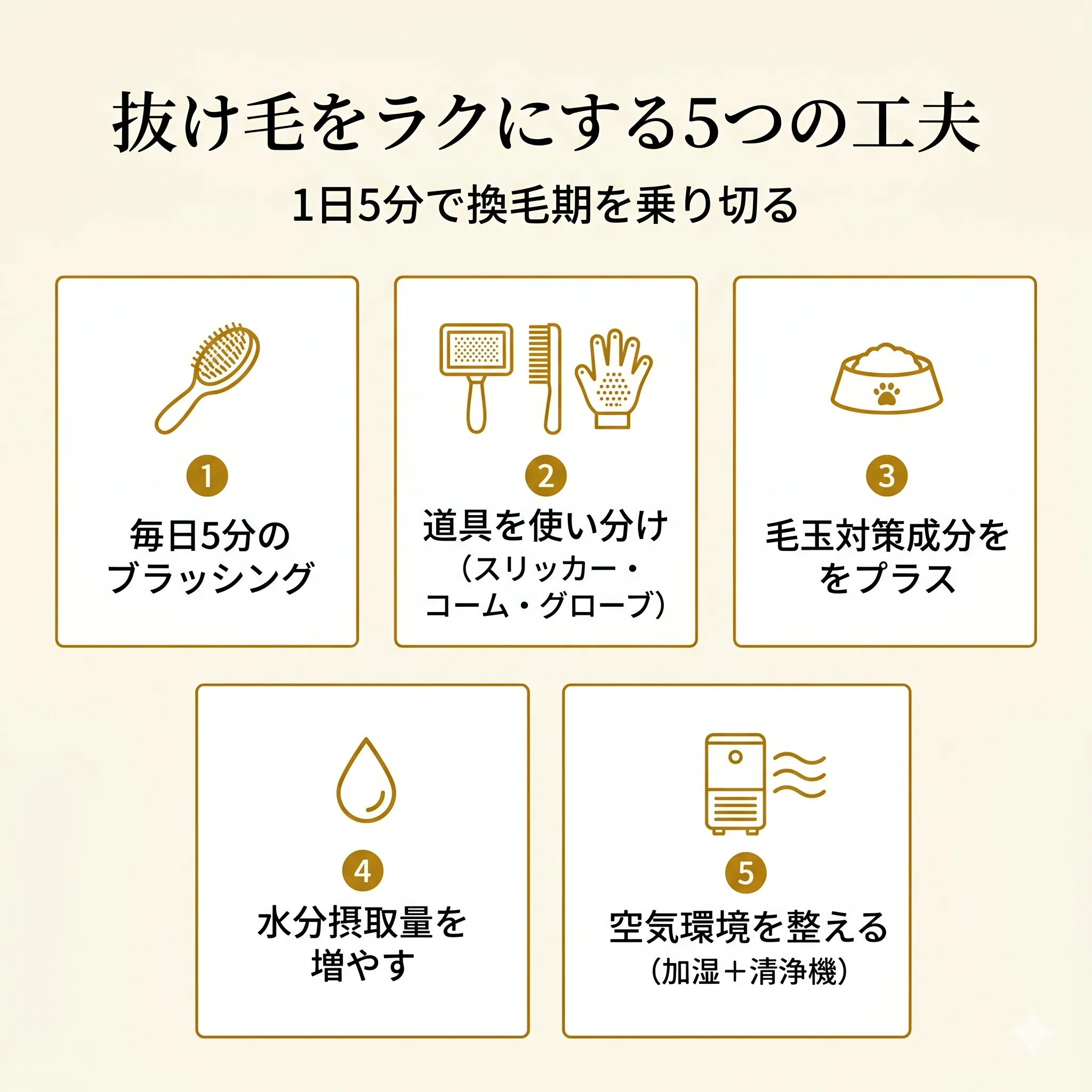 抜け毛対策5つの工夫を示すインフォグラフィック(ブラッシング・道具・食事・水分・空気環境)