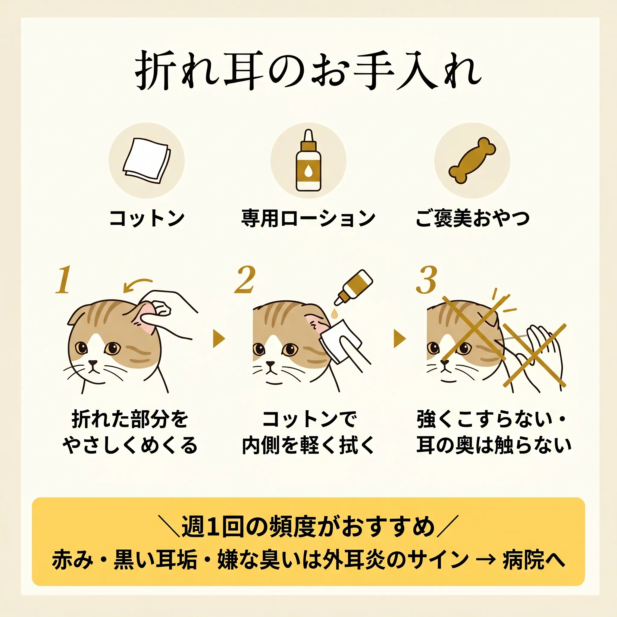 折れ耳の正しいお手入れ手順（コットン・ローション・拭き方）の図解