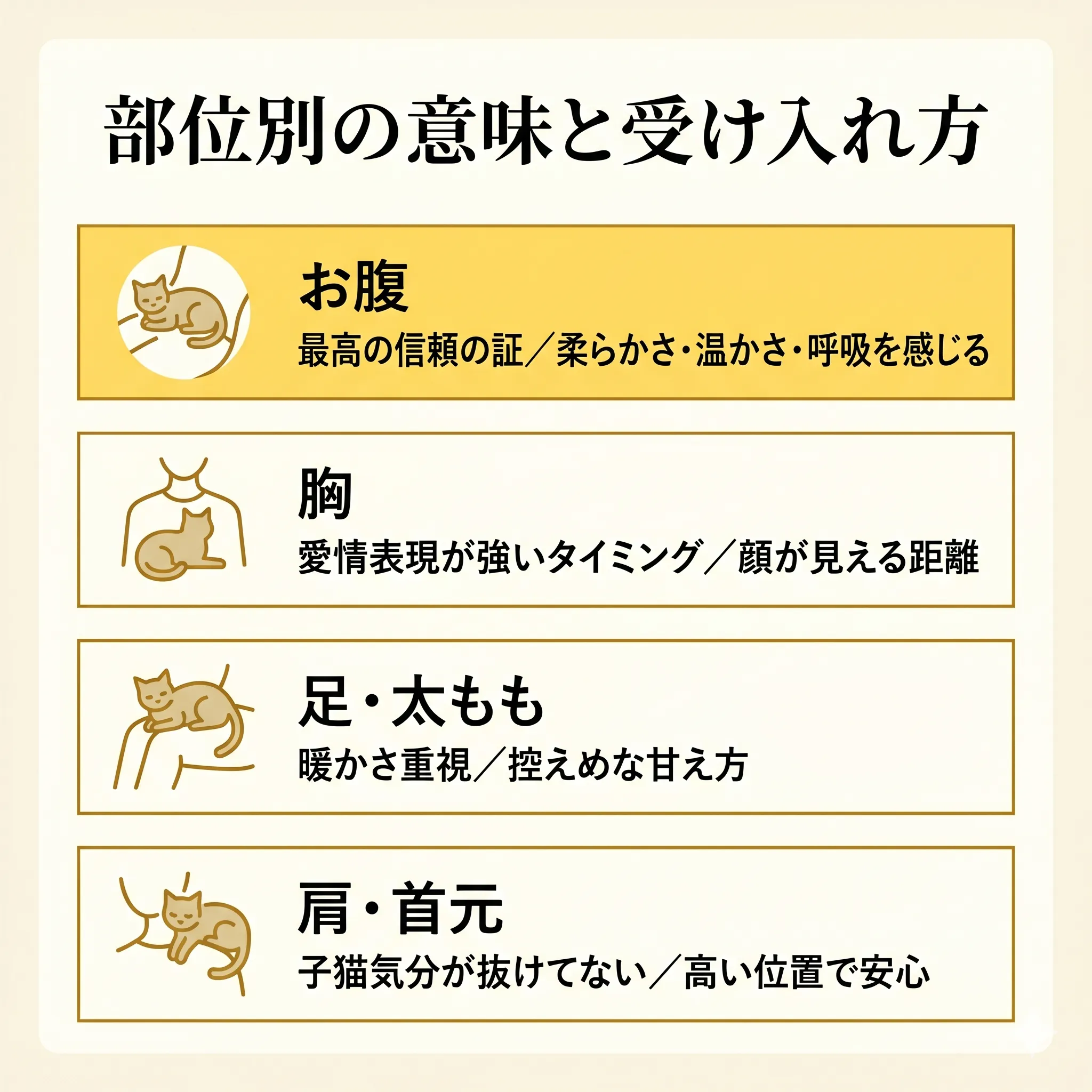 各部位のおすすめ受け入れポイントイラスト
