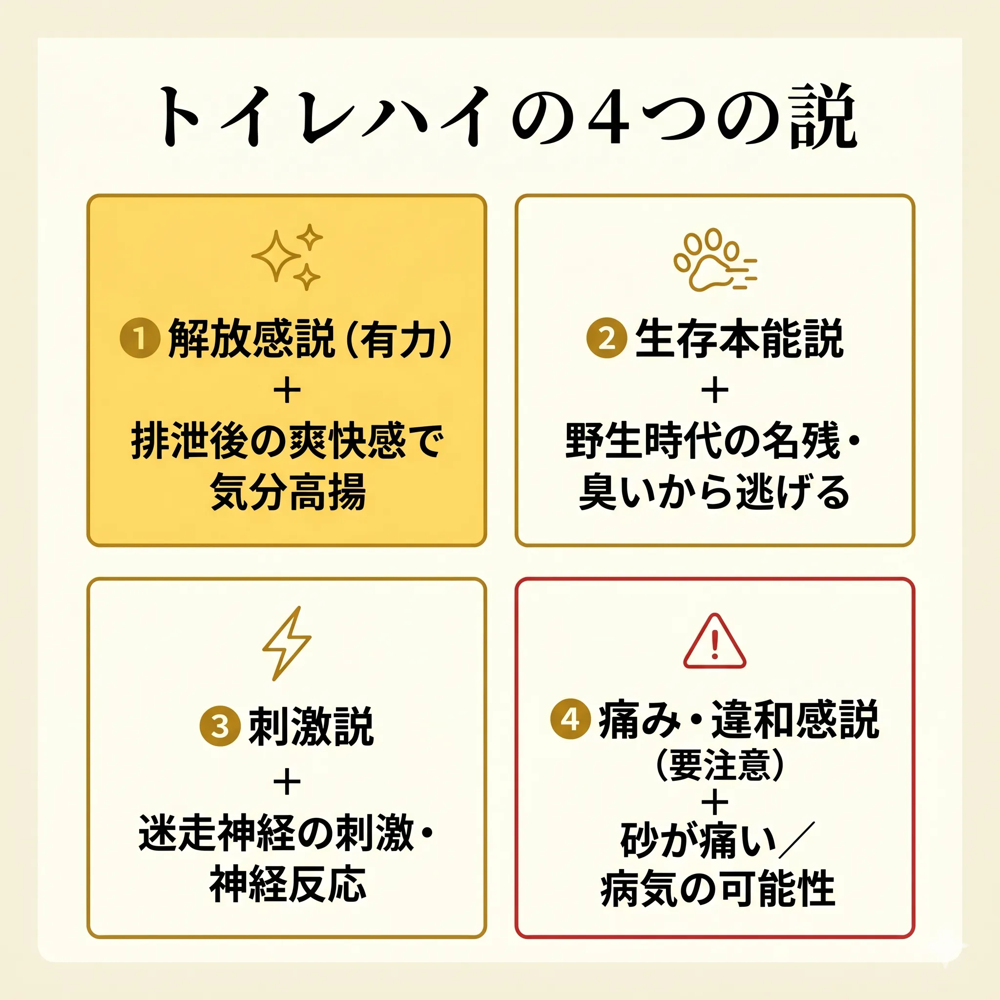 トイレ後ダッシュ4つの理由インフォグラフィック