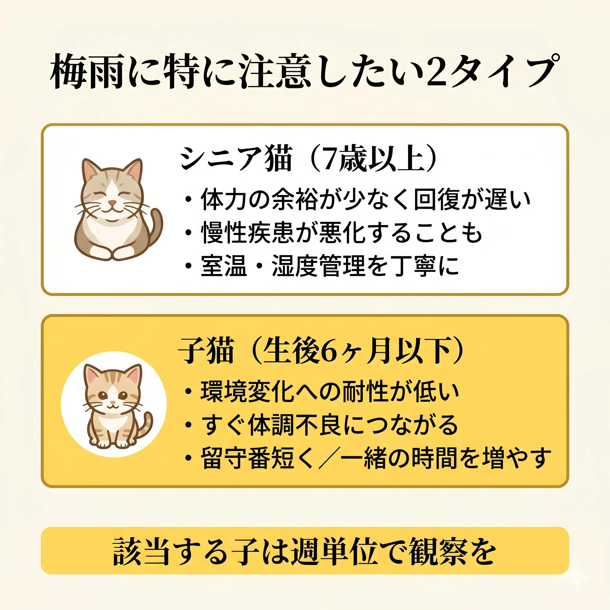 シニア・子猫の梅雨ストレスリスクと対策