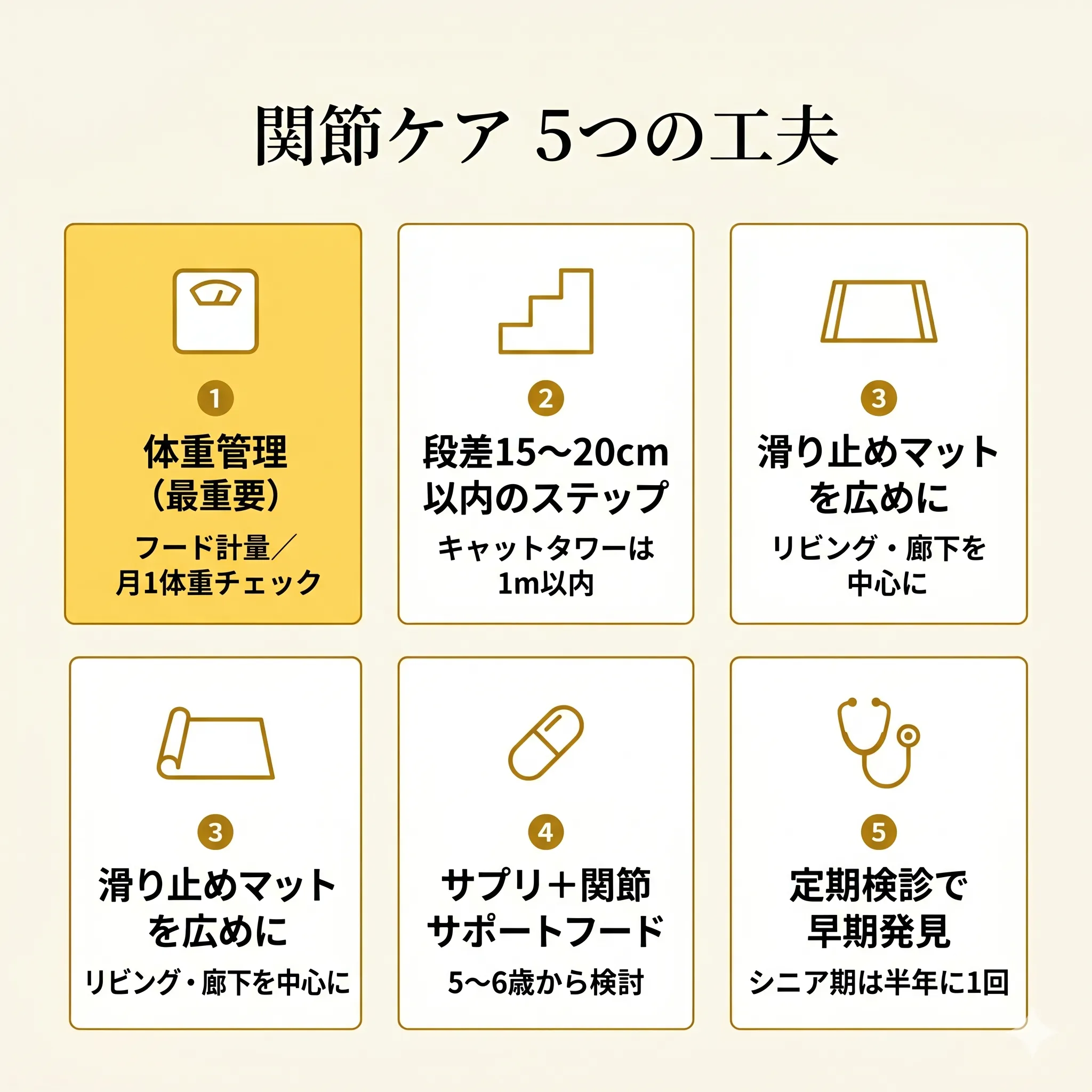関節ケア5つの工夫を示すインフォグラフィック