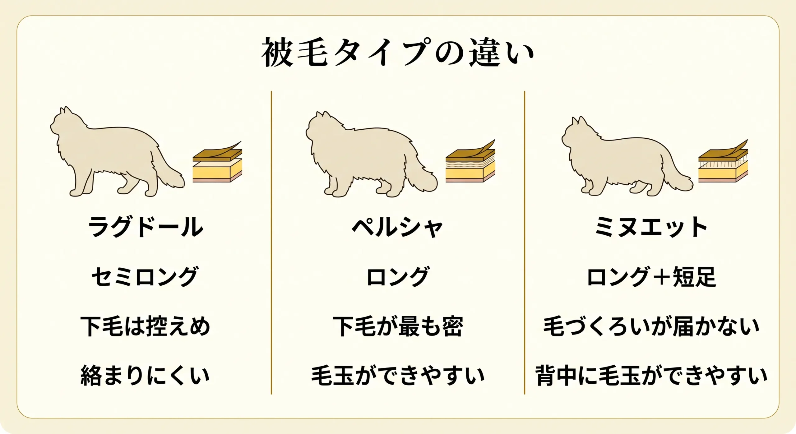 3猫種の被毛タイプ比較図解