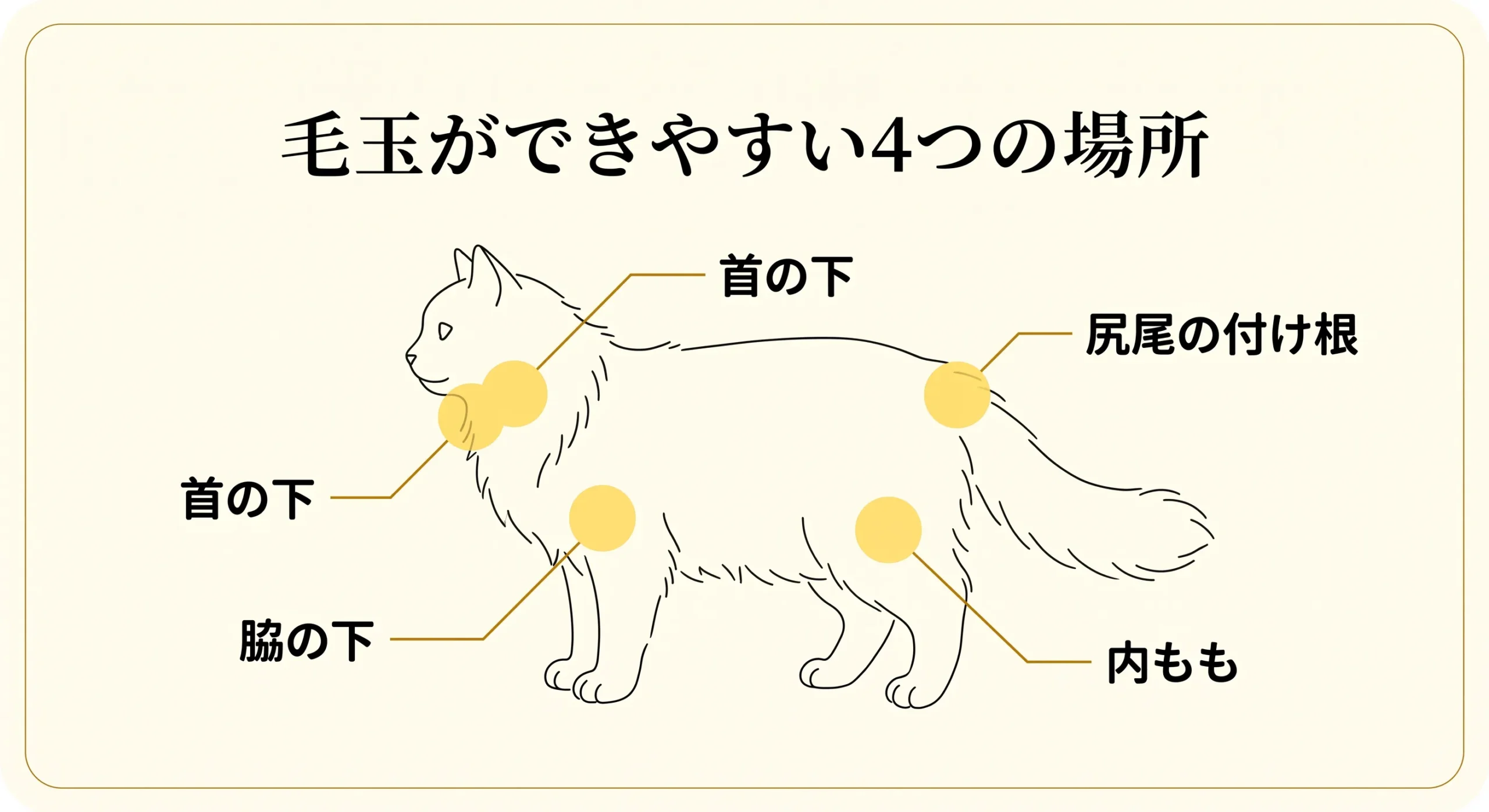 毛玉ができやすい体の4箇所マップ図解