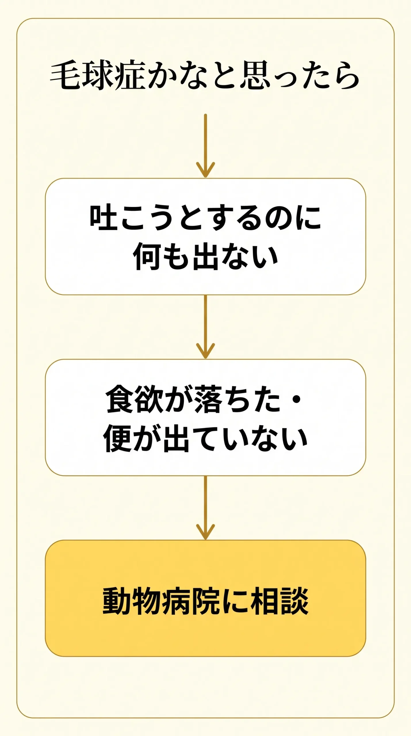 毛球症の受診目安フローチャート図解