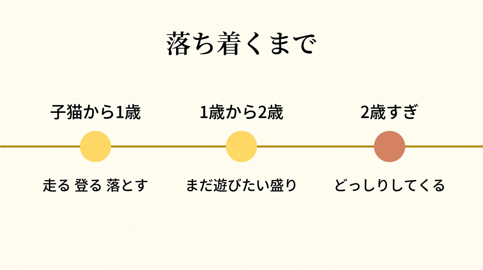 アメショーが落ち着くまでの時間軸