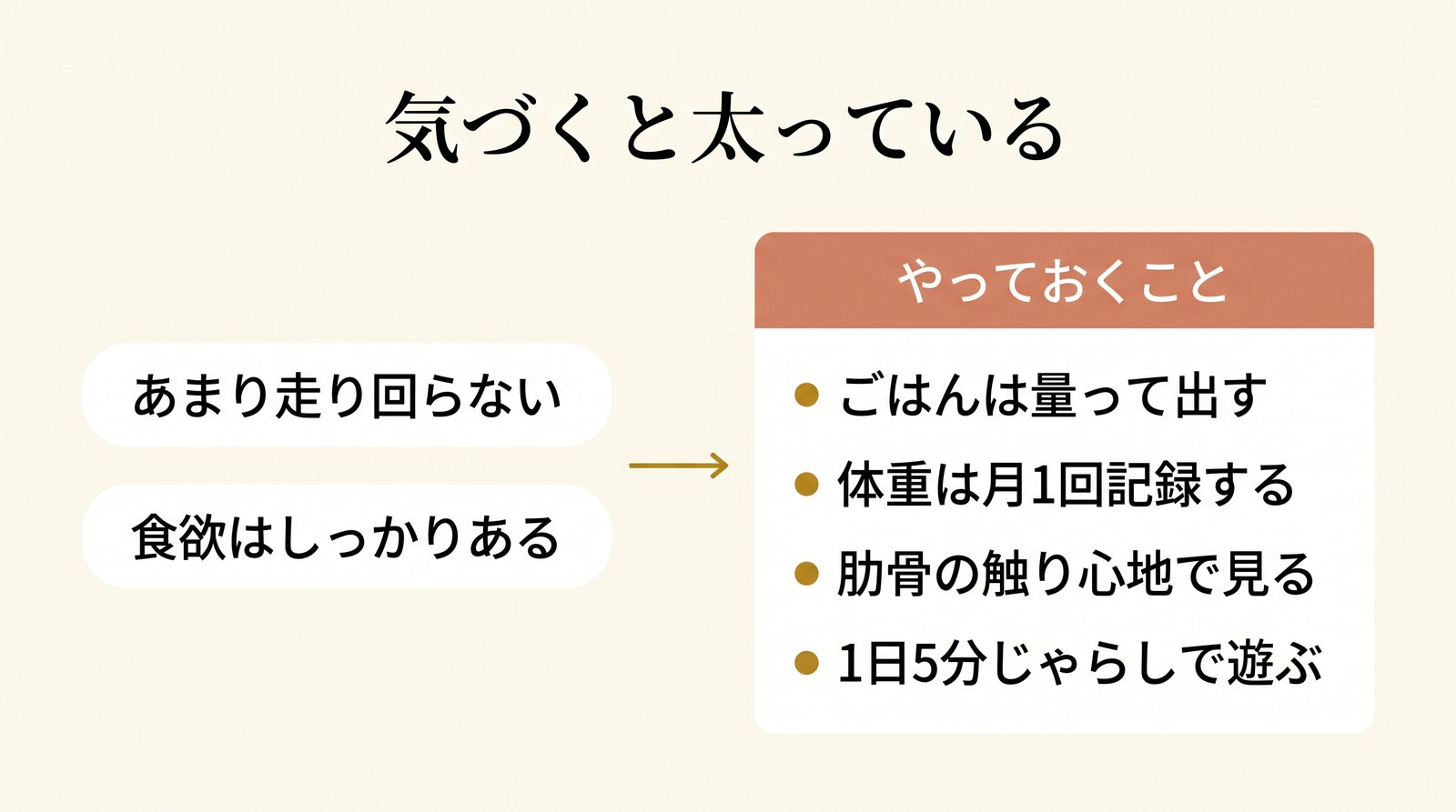 ブリショーが太りやすい理由と対策