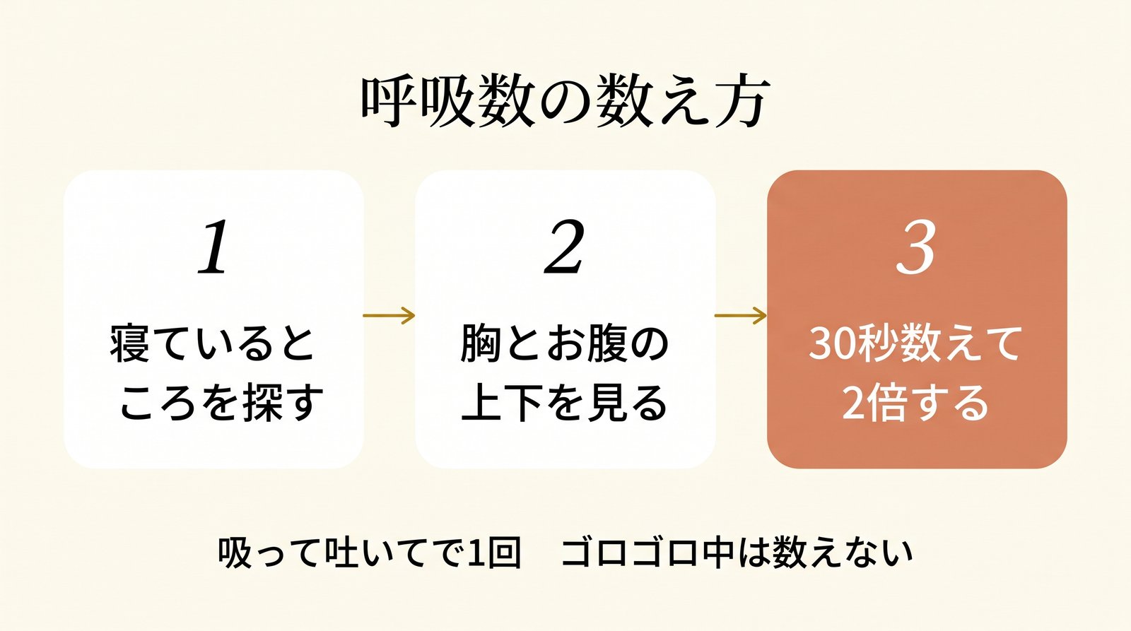猫の呼吸数を数える3ステップ