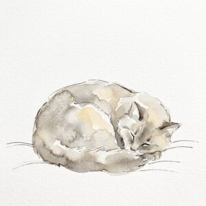 丸くなって眠る猫の水彩イラスト