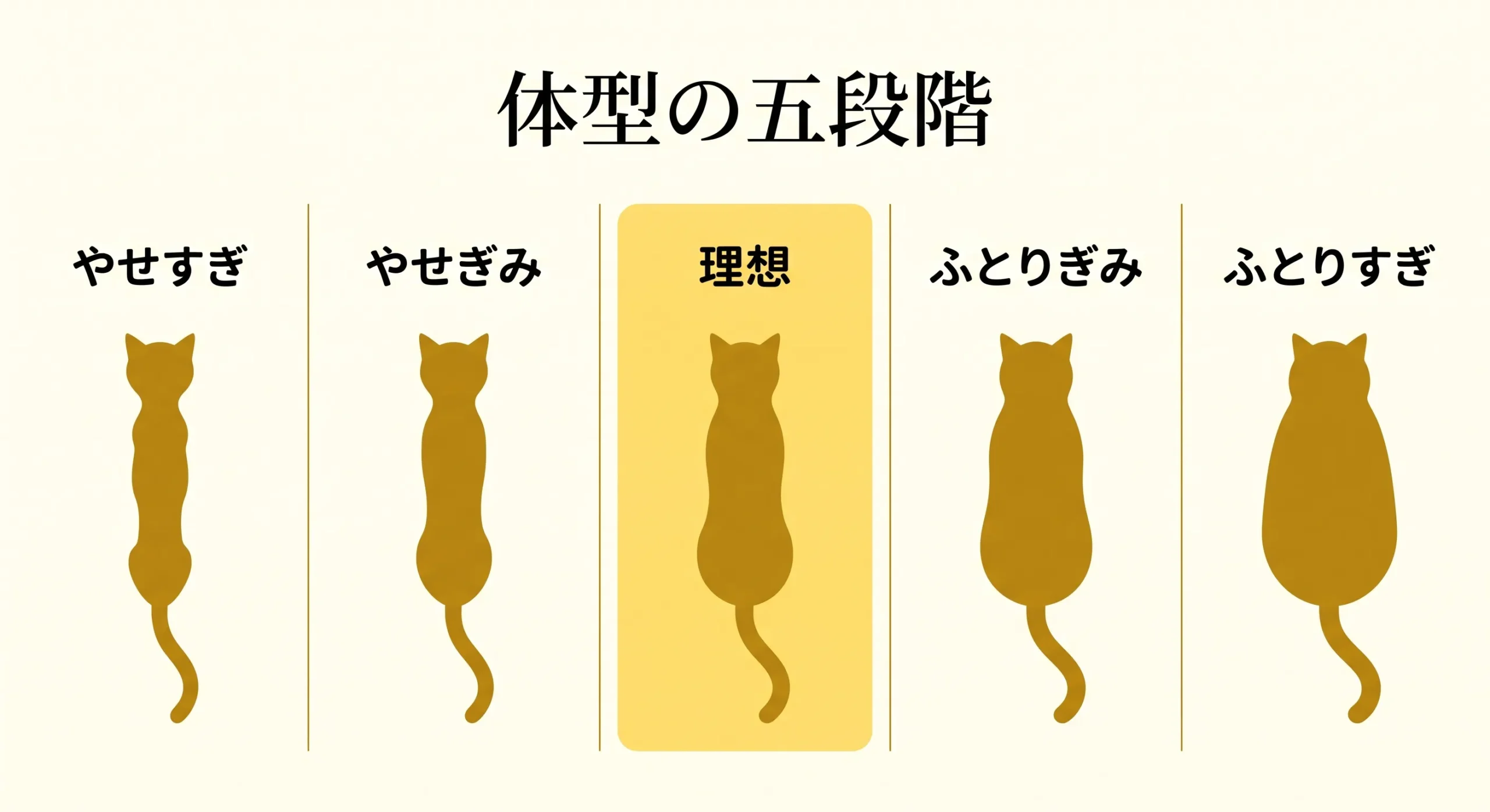 猫のボディコンディションスコア5段階の比較図解