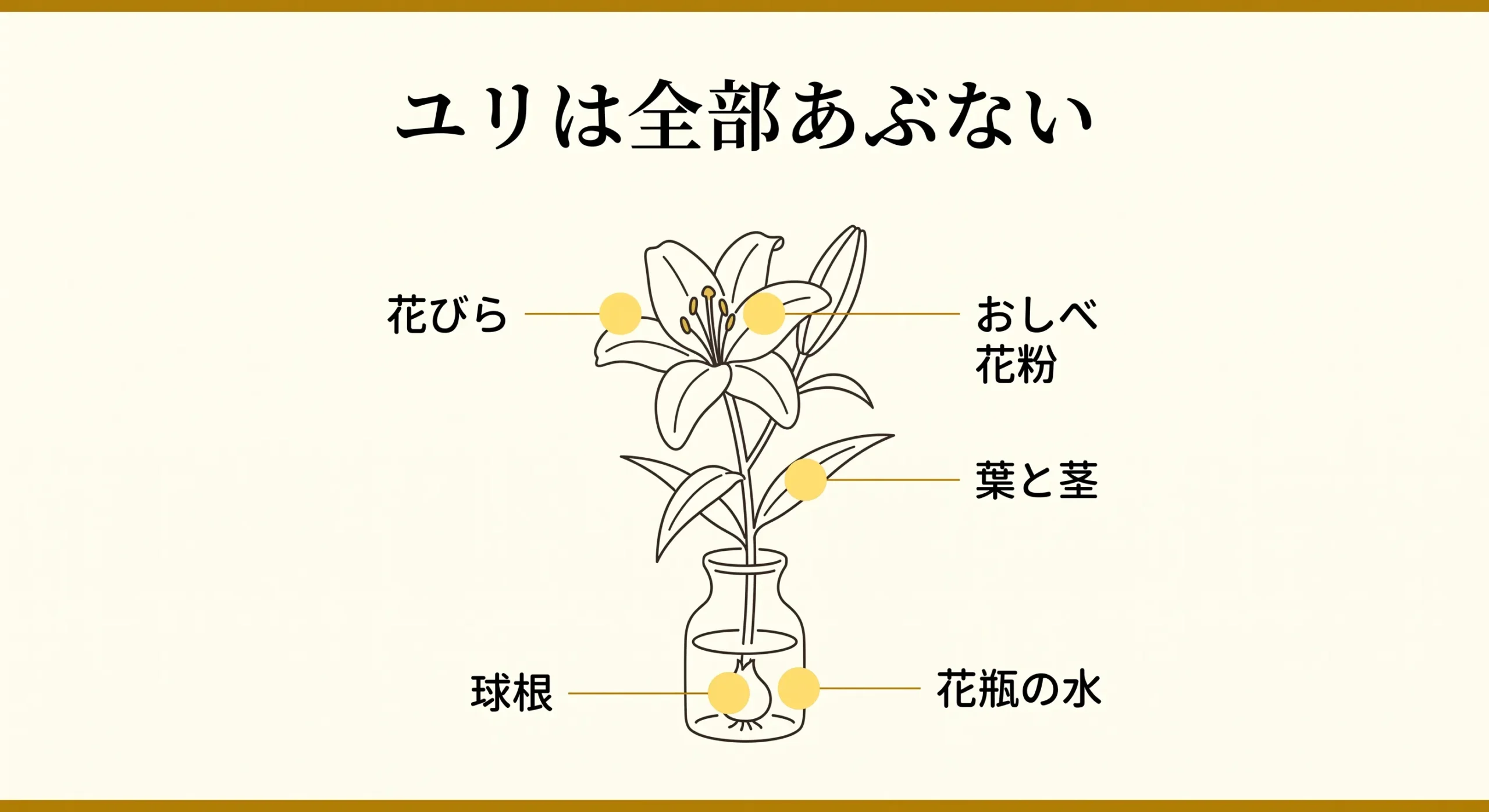 ユリの危険な部位を示した図解