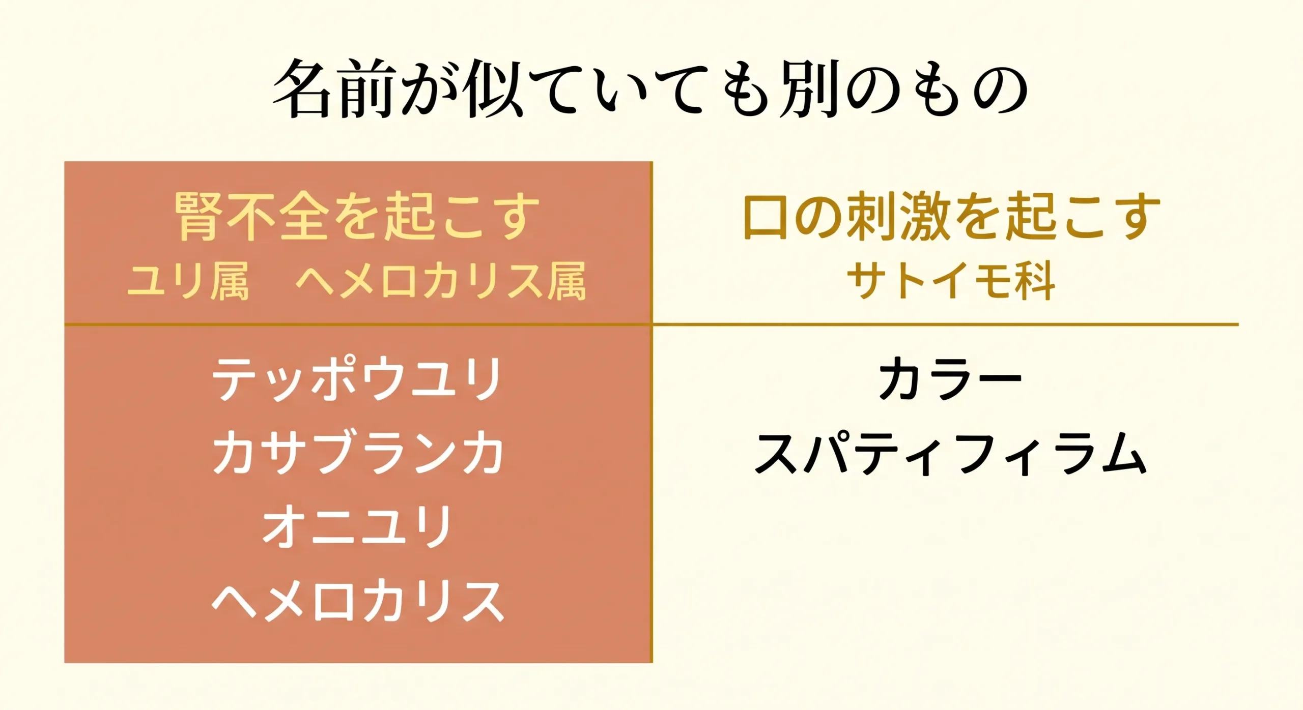 腎不全を起こすユリと起こさない「ユリ」の比較図解