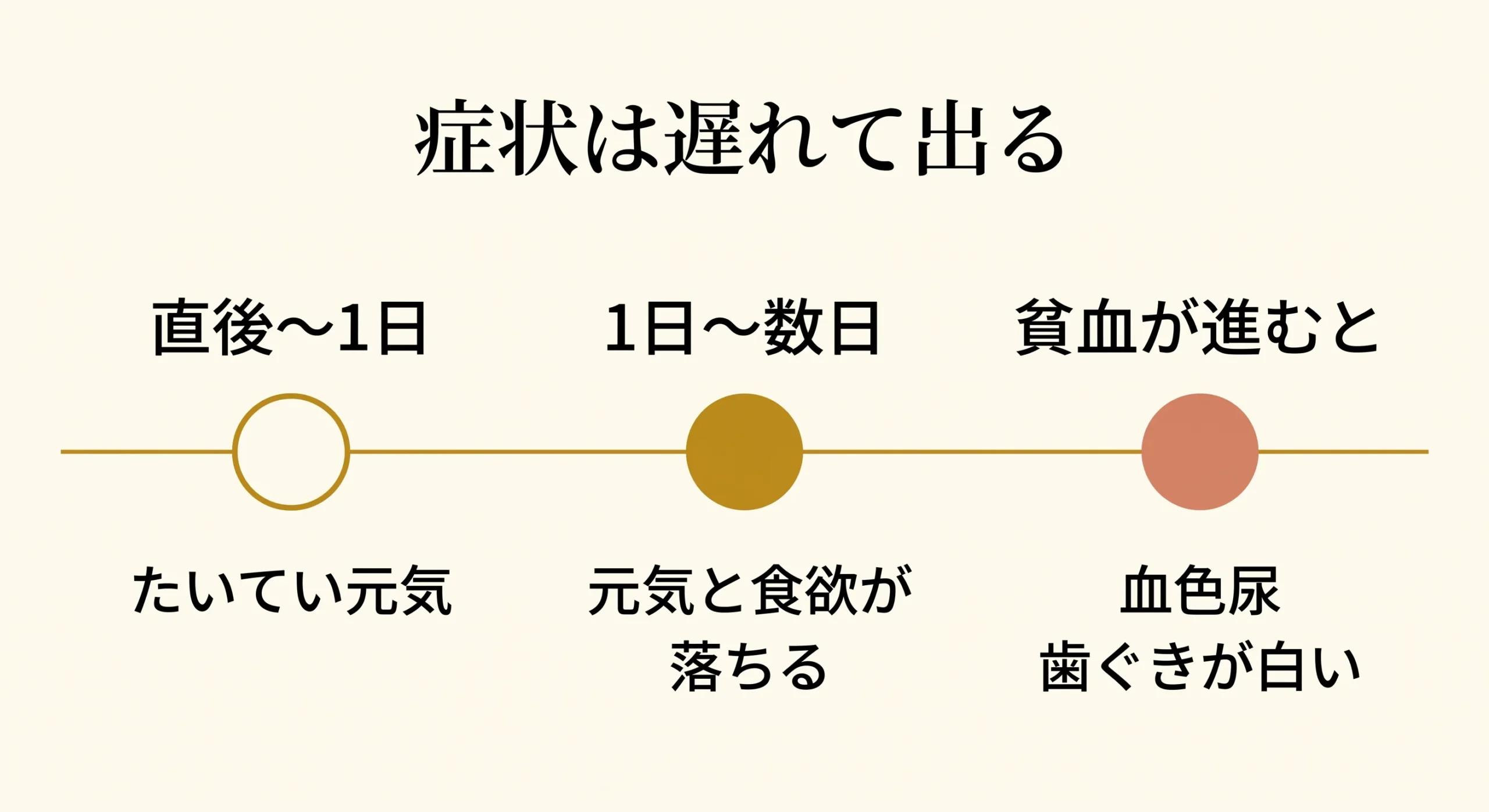 玉ねぎ中毒の症状の時間経過