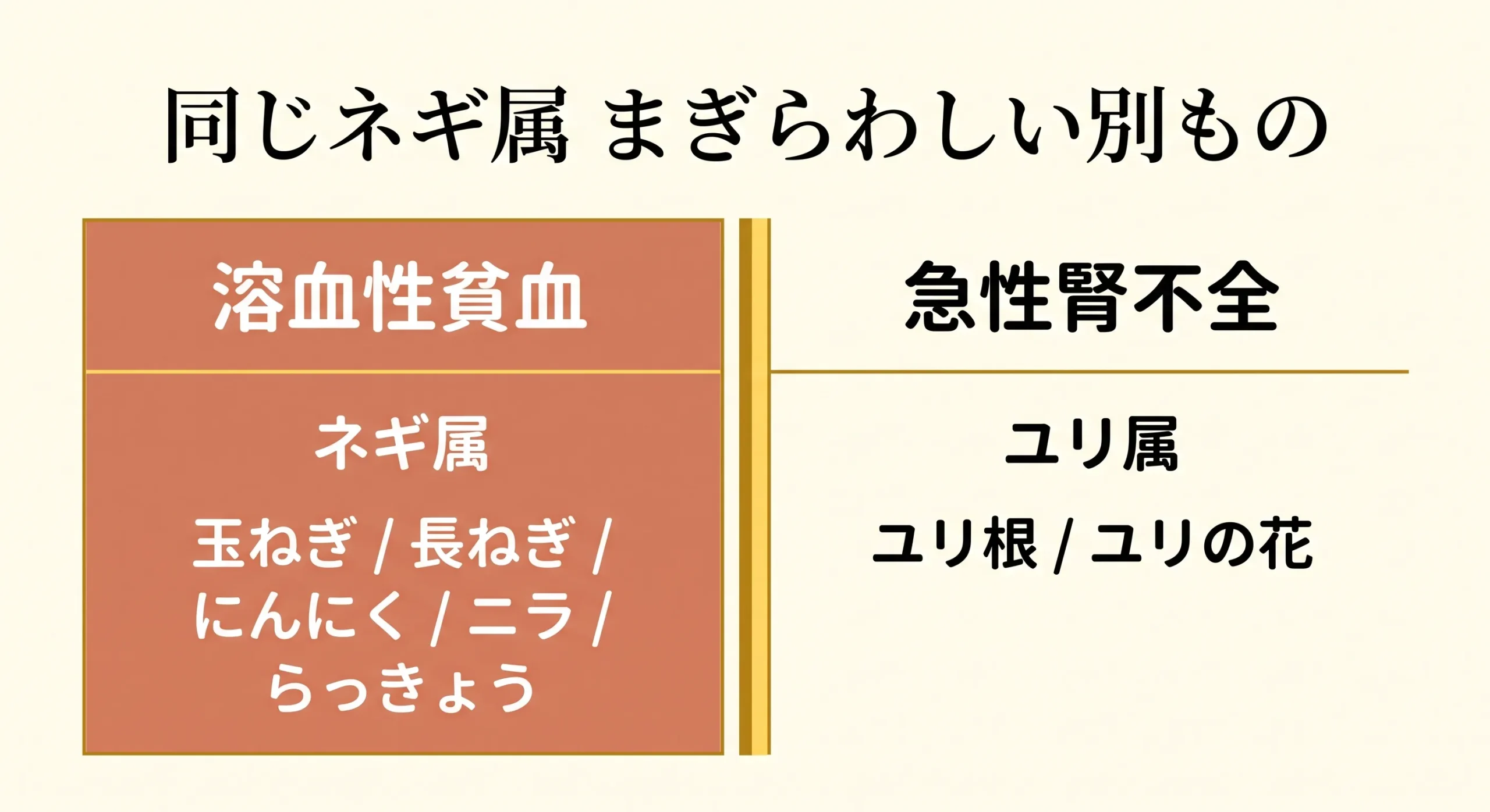 危険なネギ属の一覧とユリ根の区別