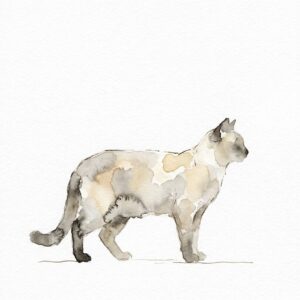 床に四つ足で立つ猫を横から見た水彩イラスト