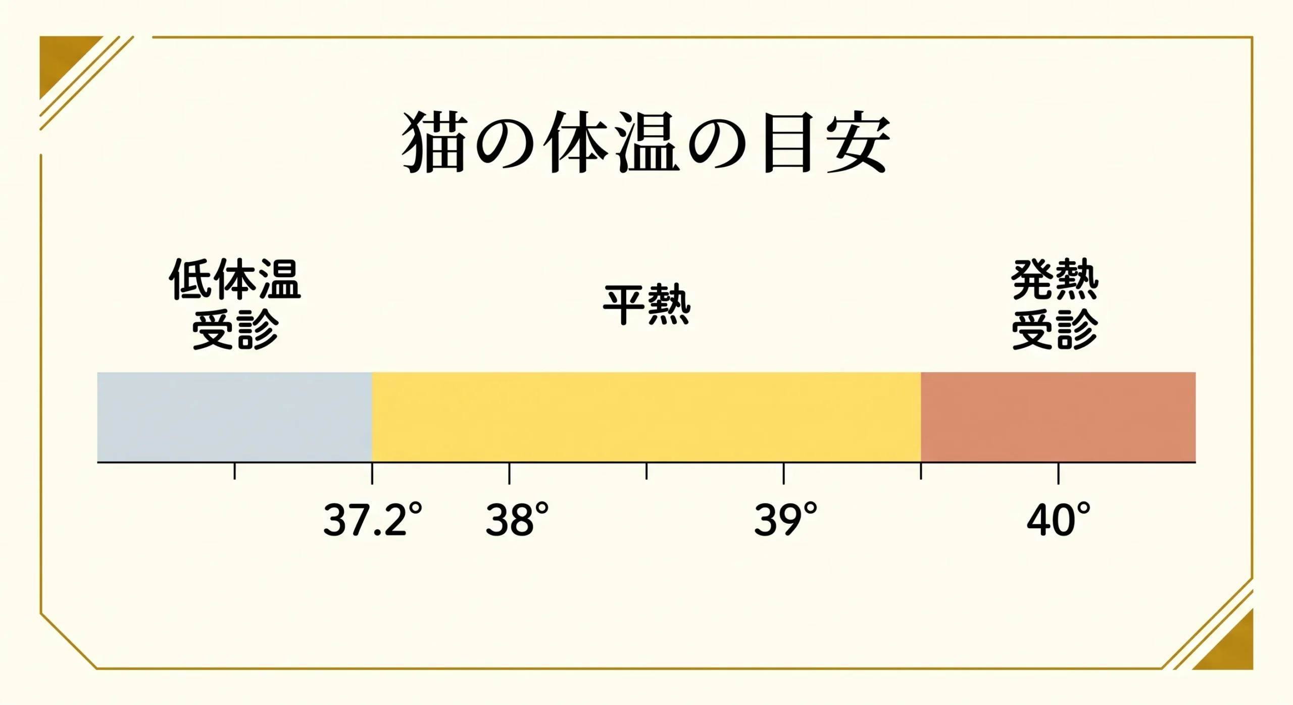 猫の体温の平熱と受診ラインを示した数直線の図解