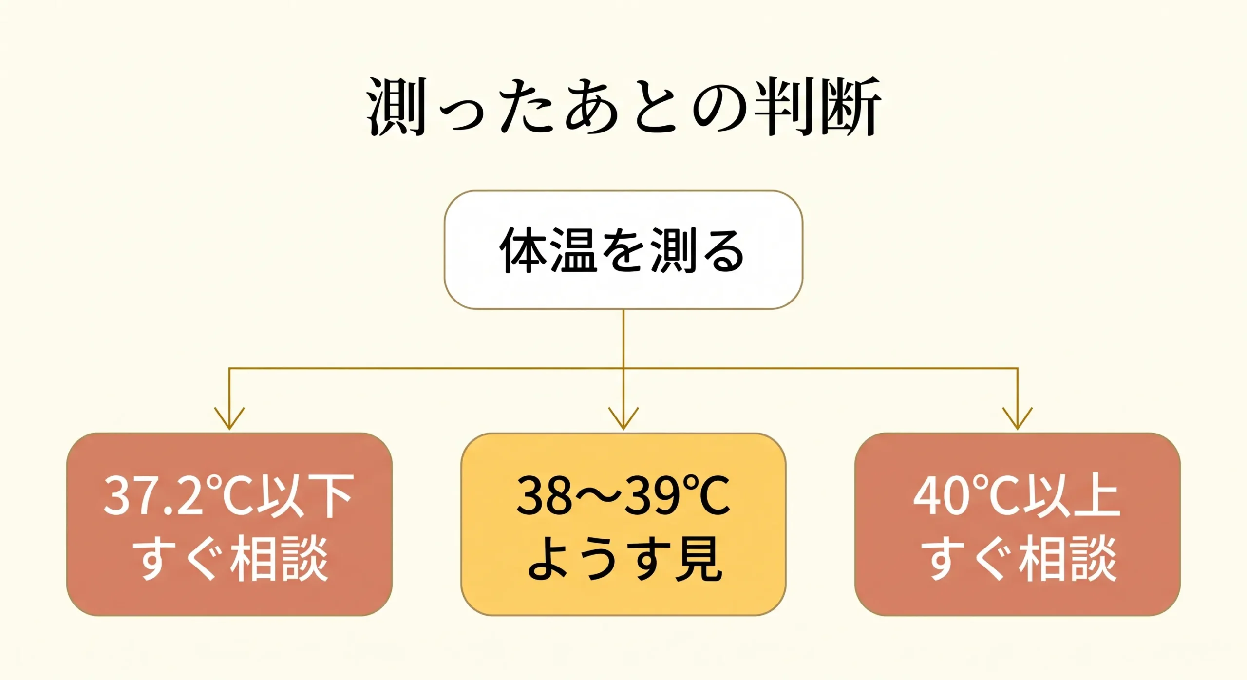 体温別の対応フローチャート