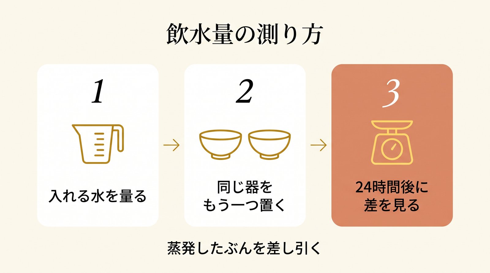 猫の飲水量を測る3ステップ