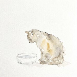 水入れをのぞきこむ猫の水彩イラスト