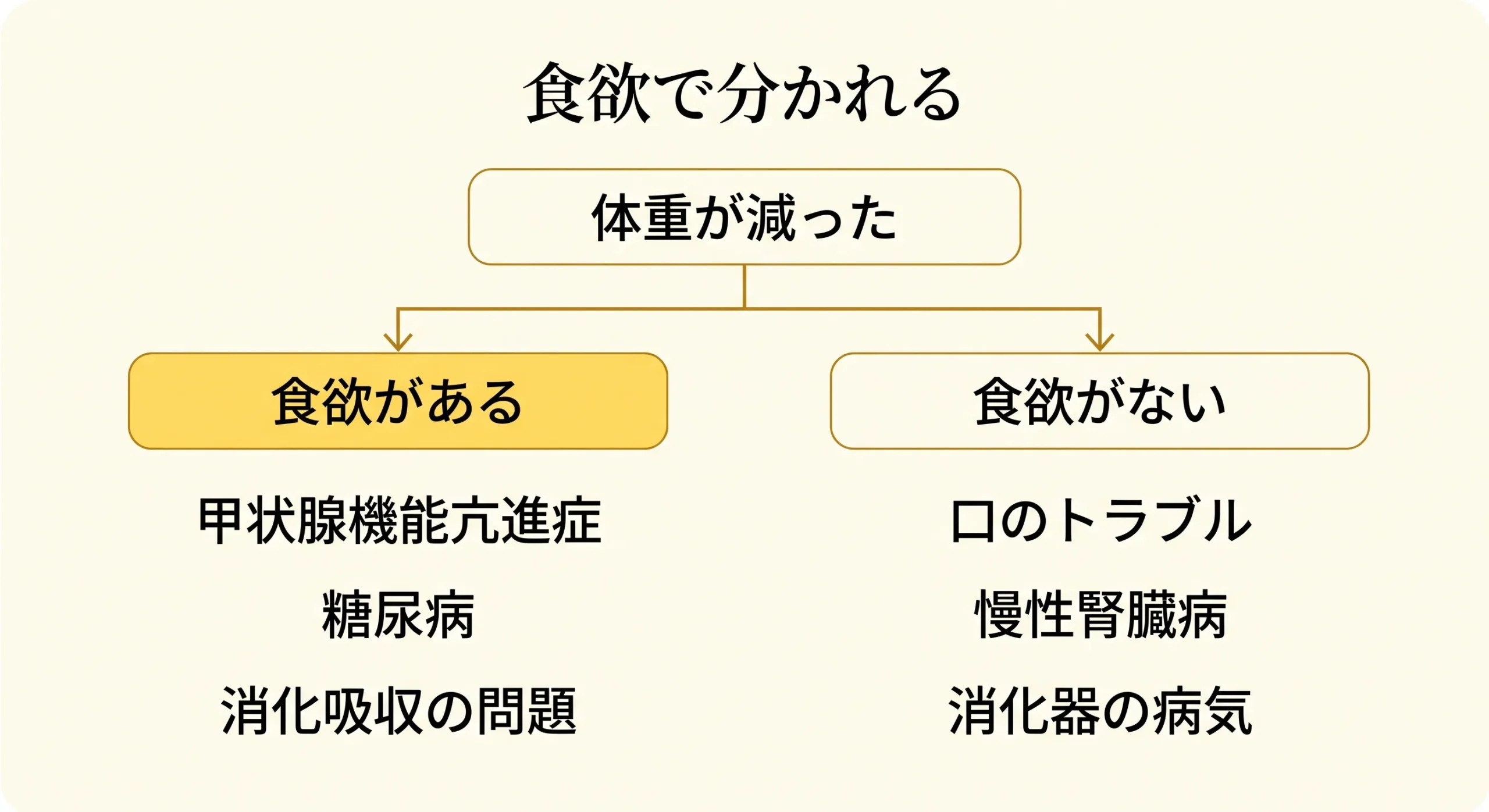 食欲の有無で分かれる原因のフローチャート