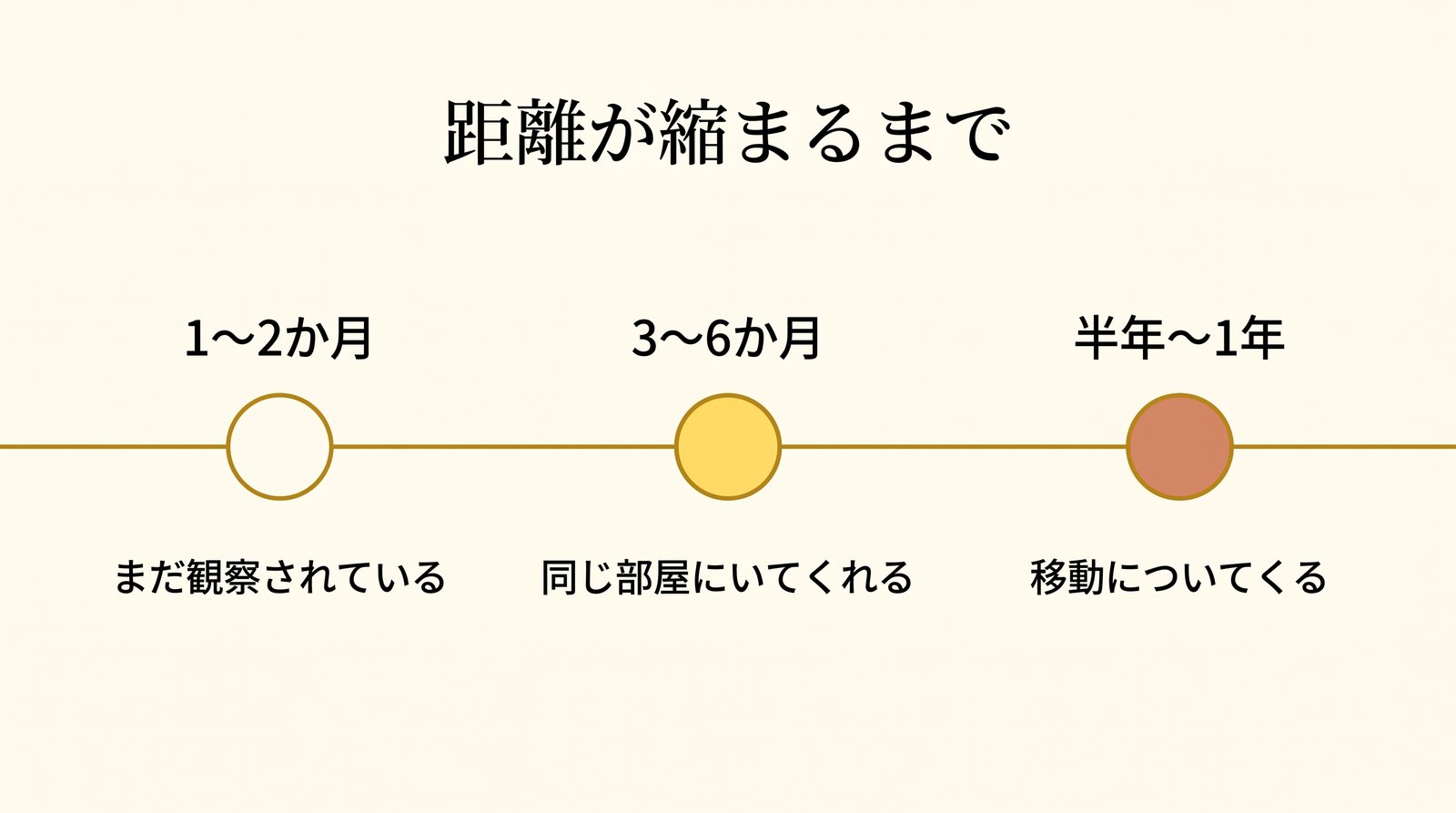 ノルウェージャンが家族として慣れるまでの時間軸