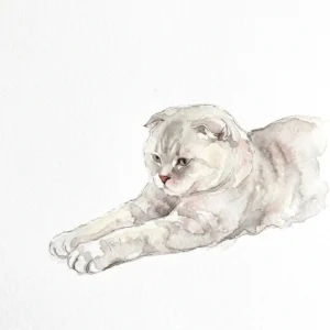 前足を伸ばして横たわるスコティッシュフォールドの水彩イラスト