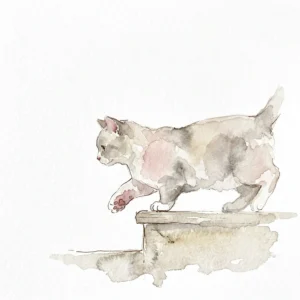 低い段差に前足をかける短足猫の水彩イラスト