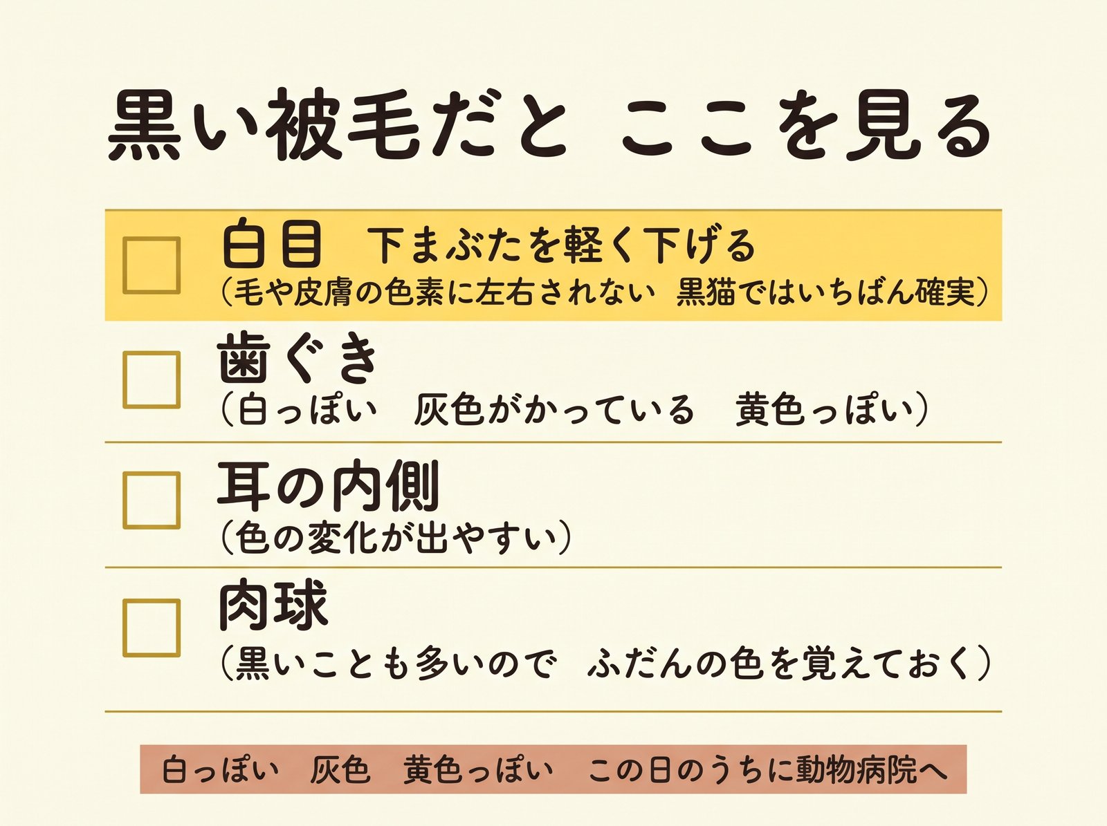 黒猫の体調チェックで見る場所