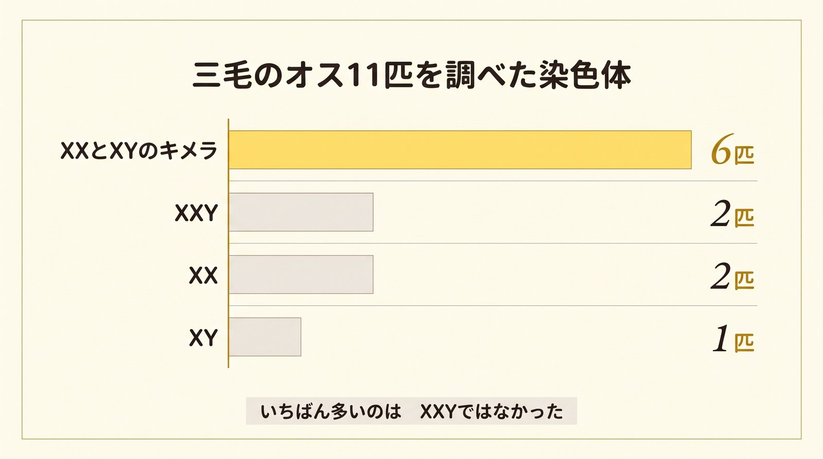 三毛のオス11匹の染色体の内訳