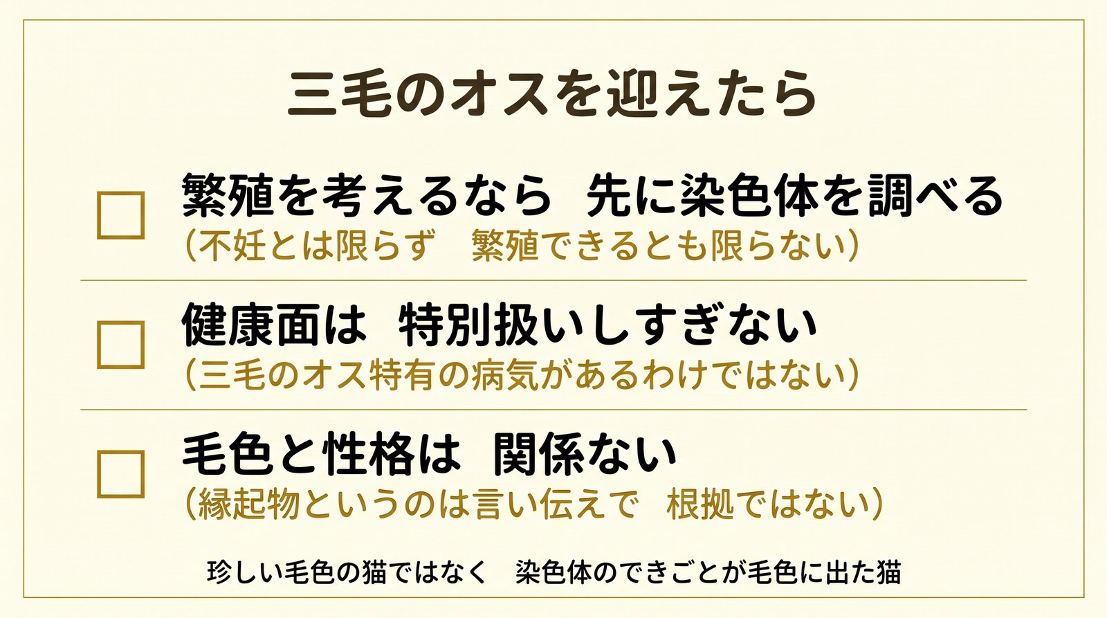 三毛のオスを迎えたときに考えること