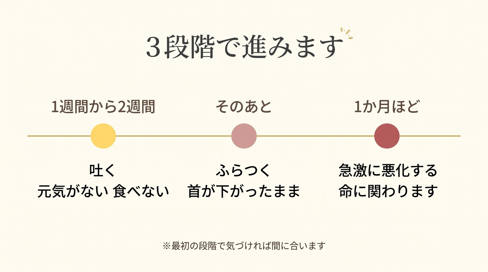 ビタミンB1欠乏が進む3段階