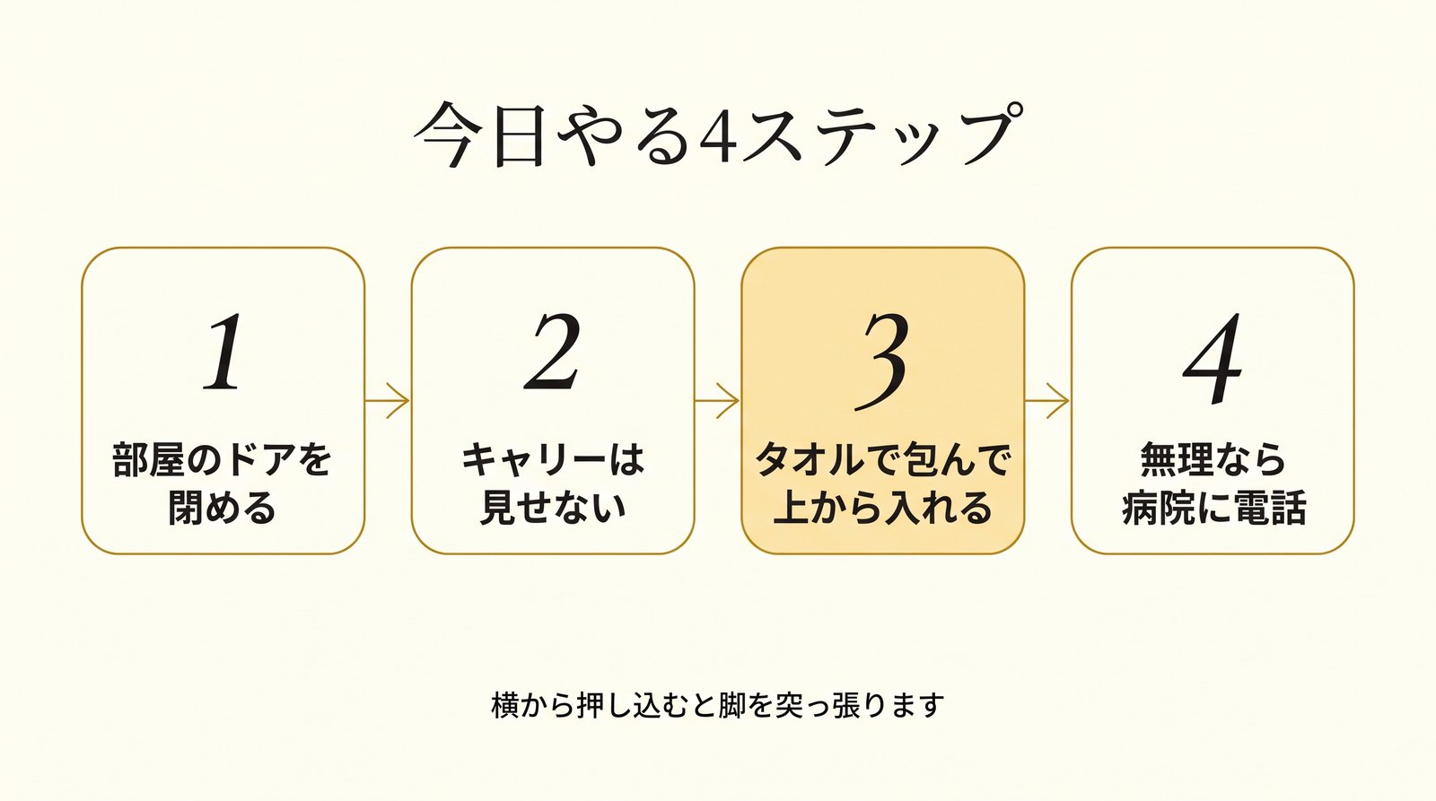 今日キャリーに入れる4ステップ