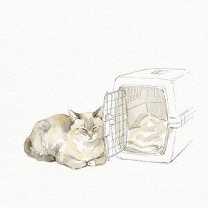 キャリーのそばでくつろぐ猫の水彩イラスト