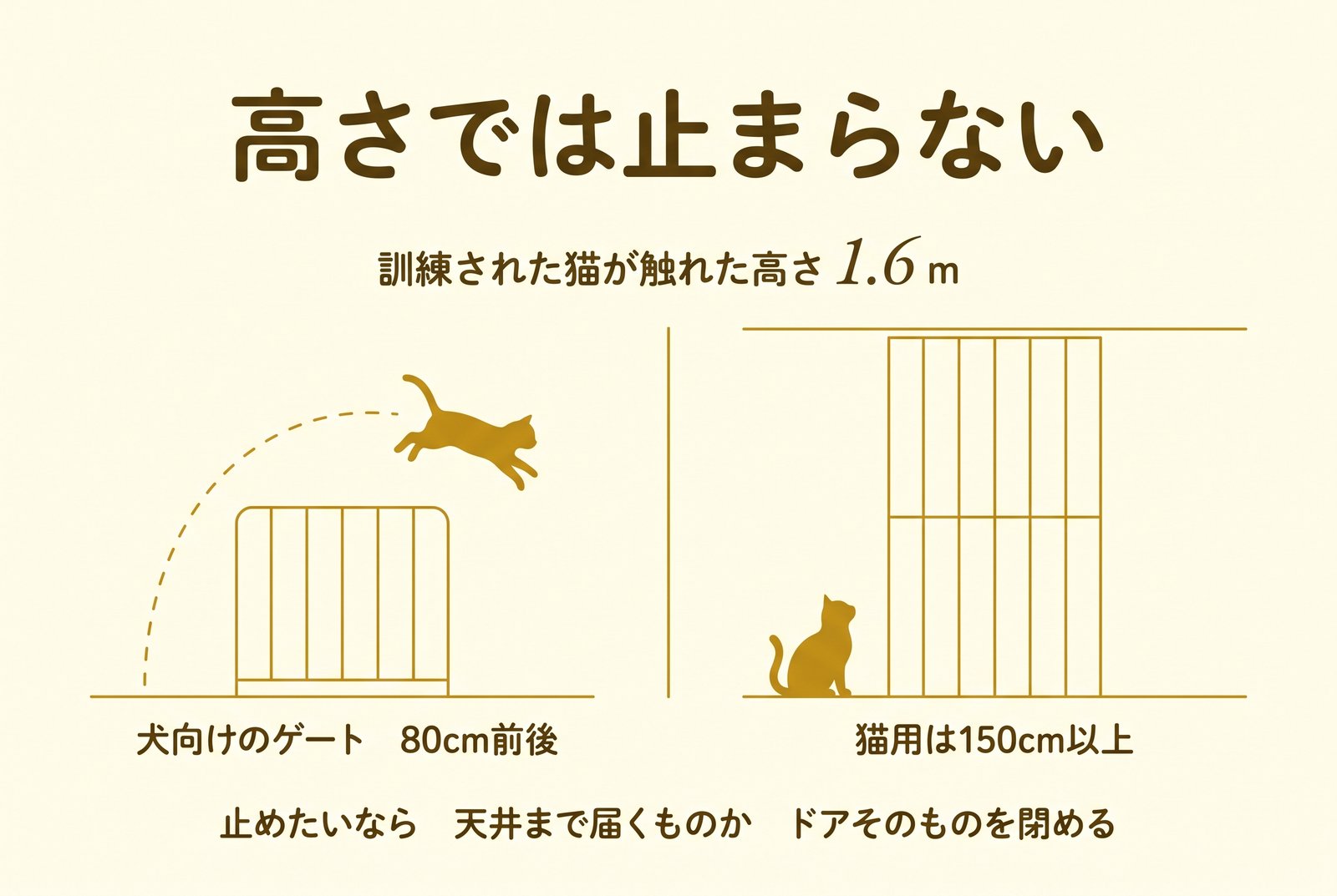 ゲートの高さでは止まらない