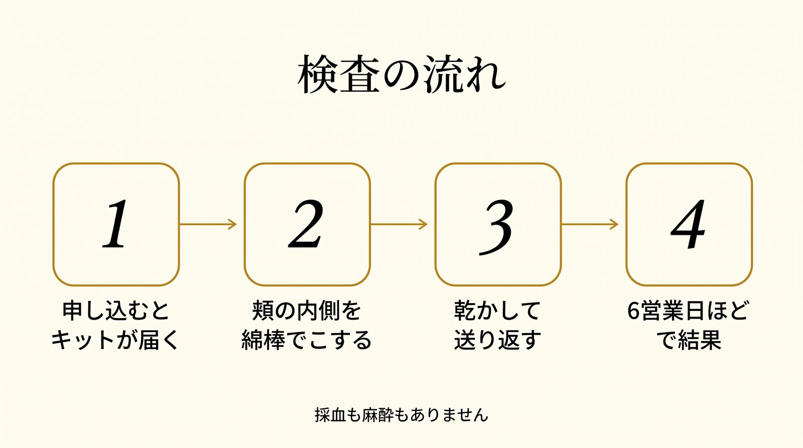 猫の遺伝子検査の流れ4ステップ