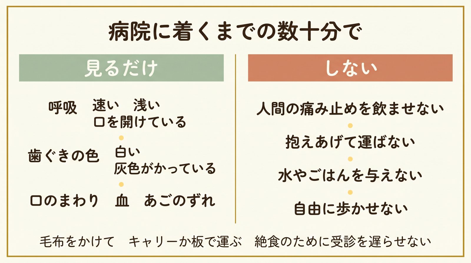 病院に行くまでにやること・やらないこと