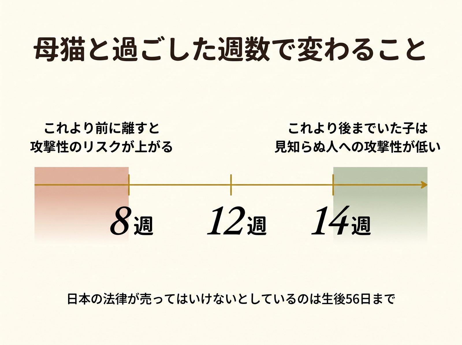 母猫と過ごした週数と行動の関係