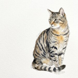 キジトラ猫の水彩イラスト